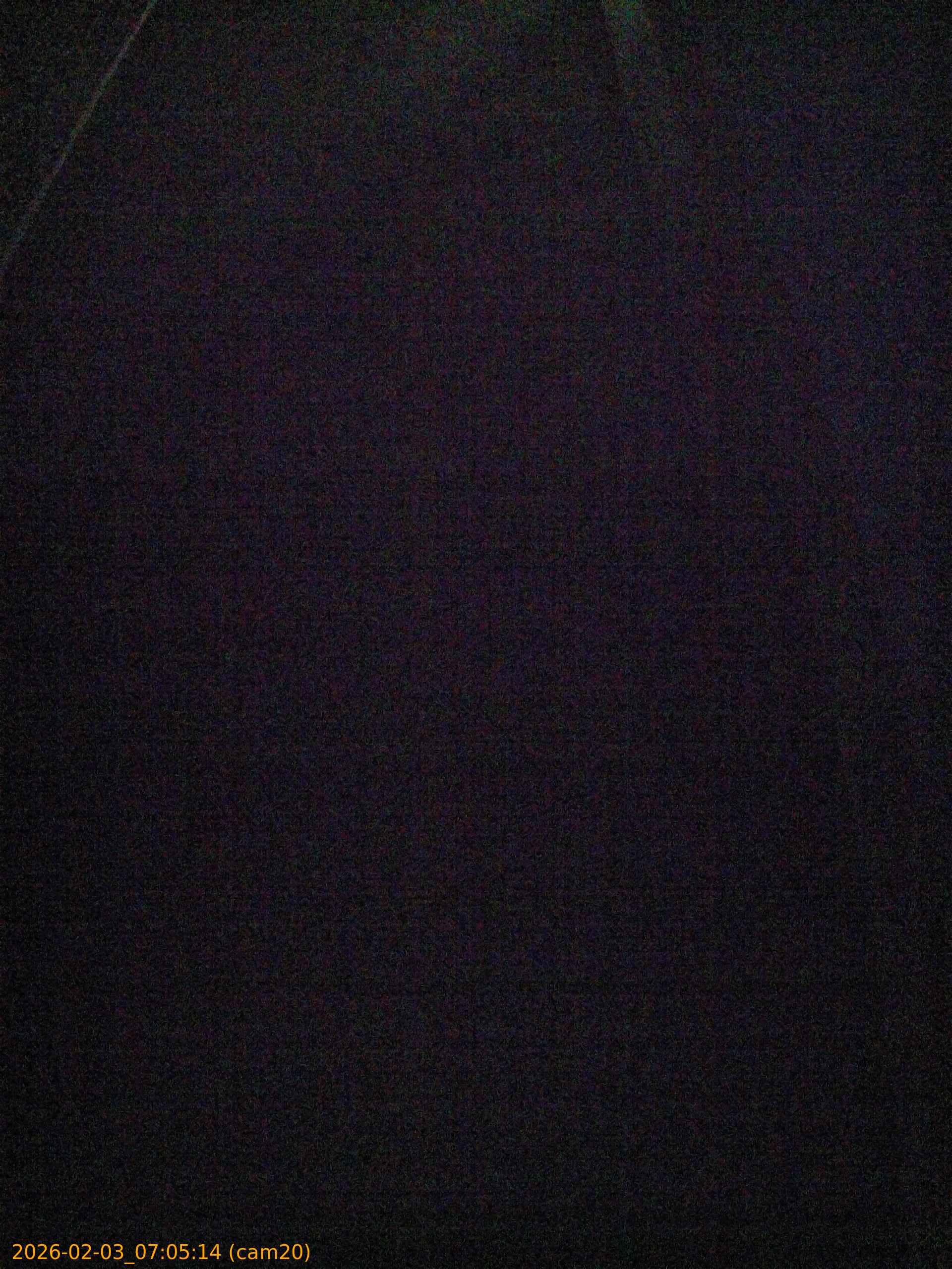 thumbnail_20260203070514