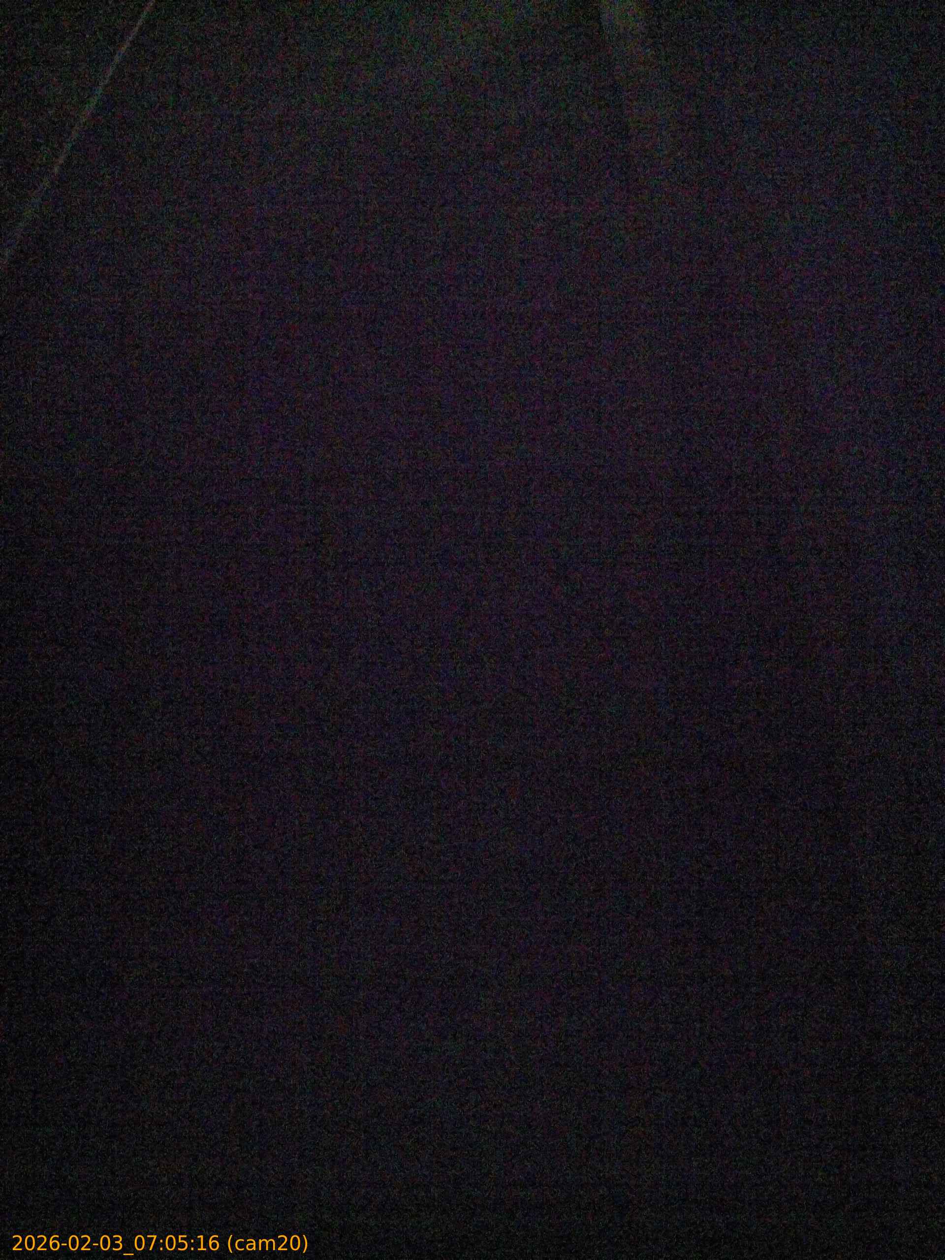 thumbnail_20260203070516