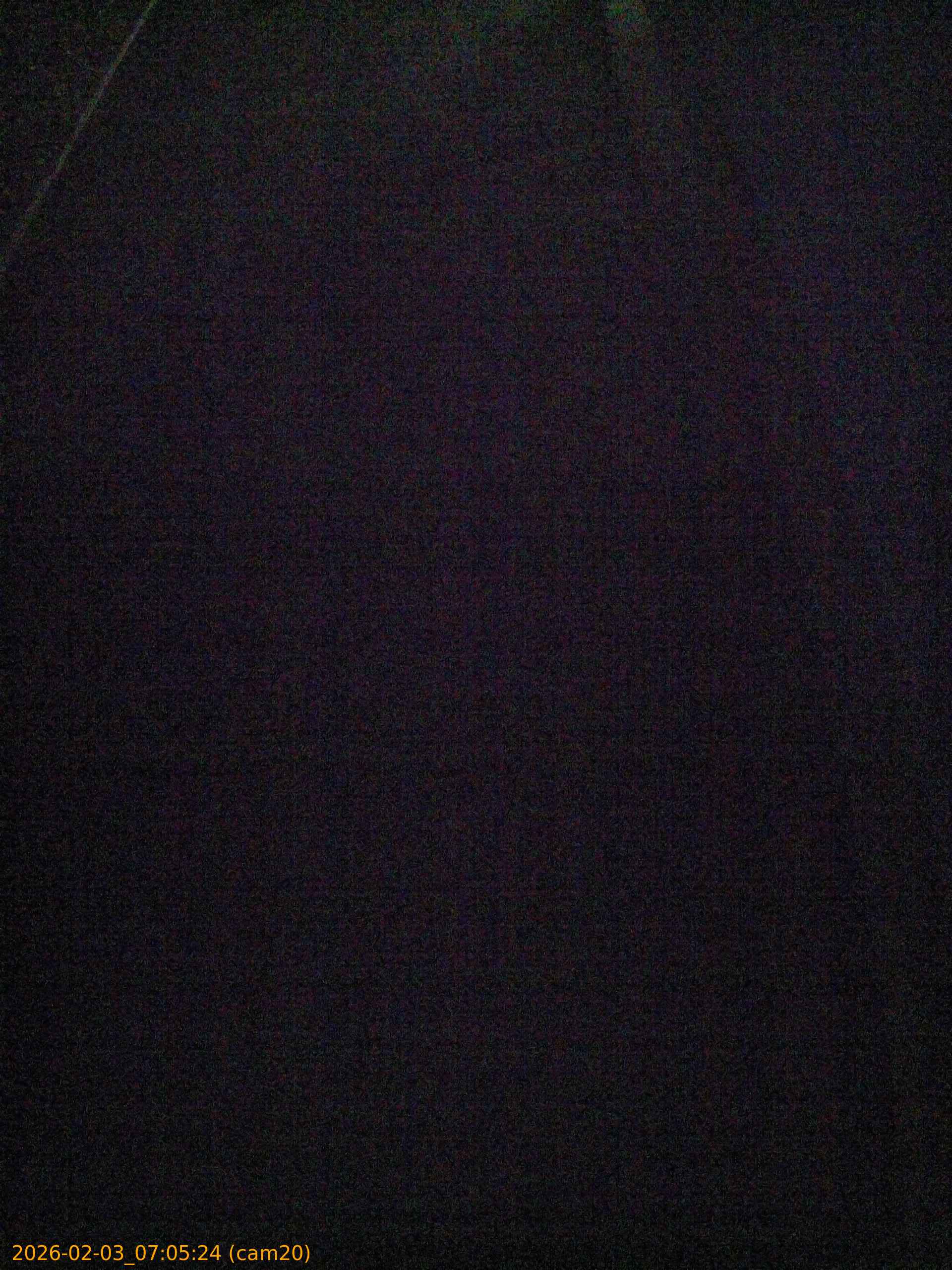 thumbnail_20260203070524