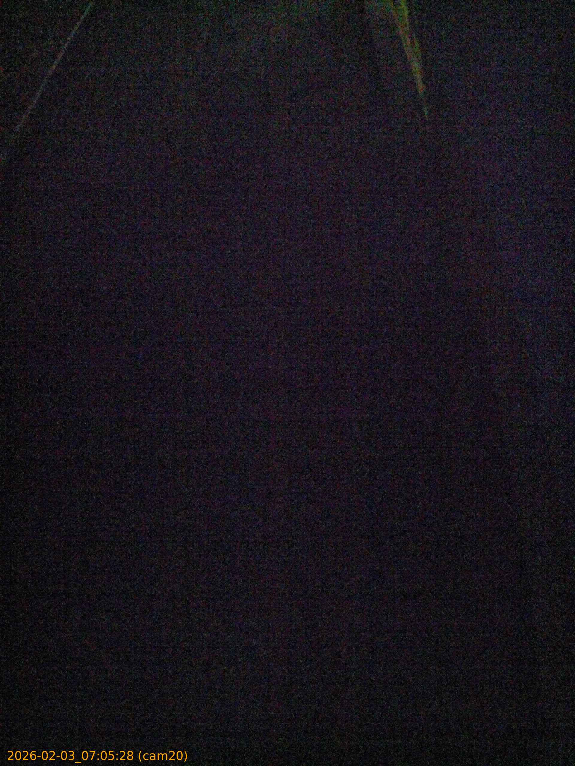 thumbnail_20260203070528