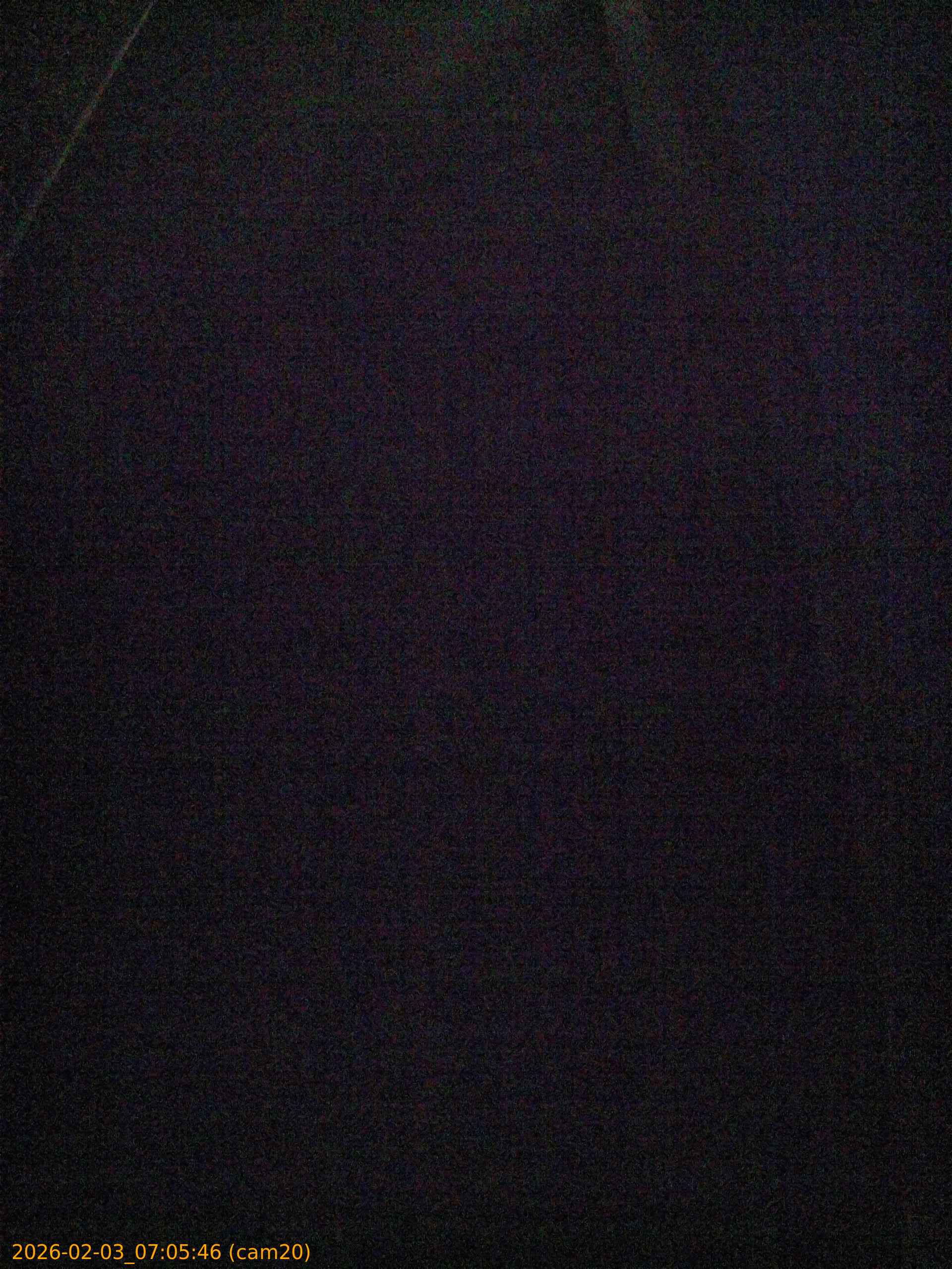 thumbnail_20260203070546