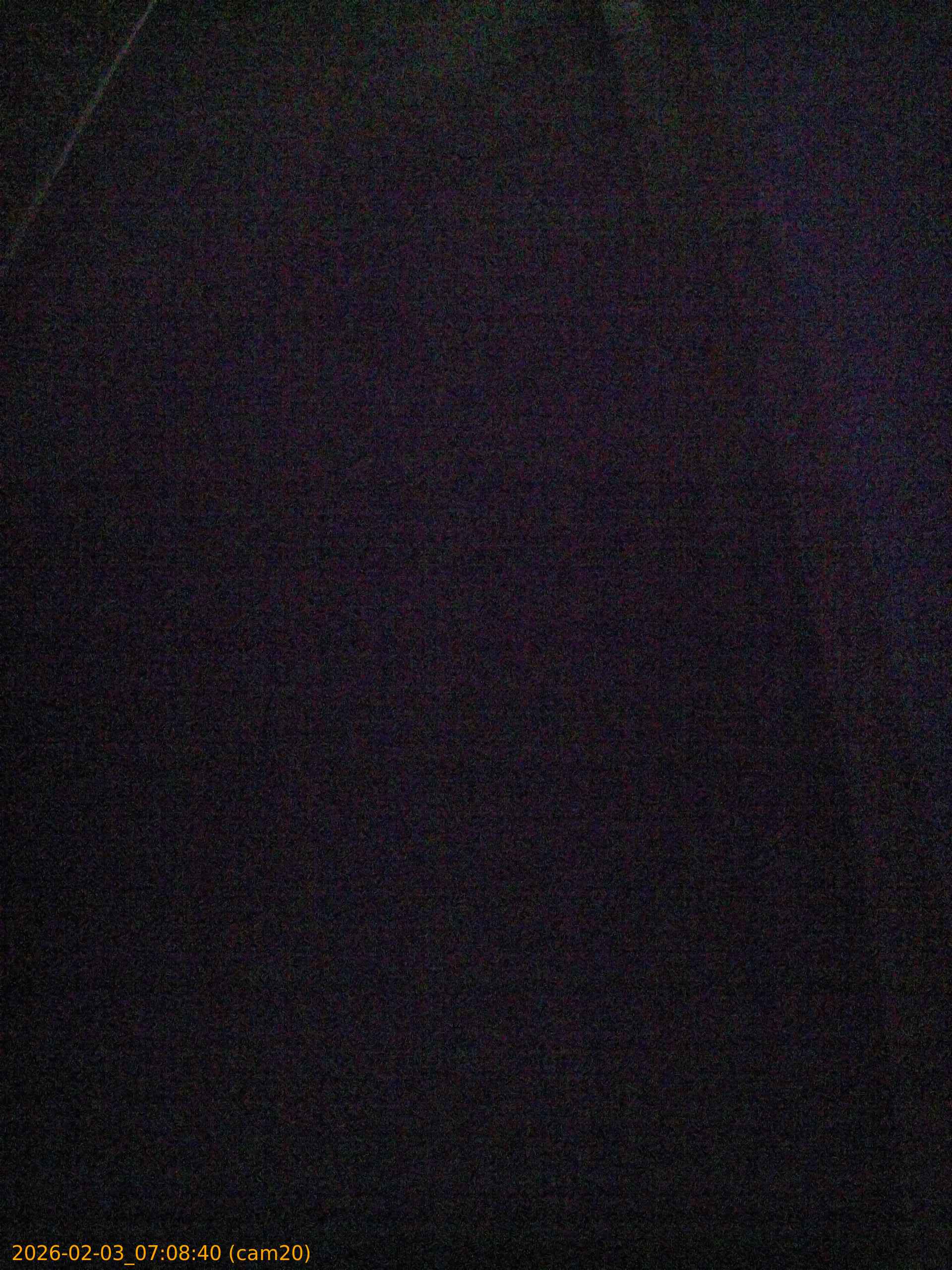 thumbnail_20260203070840