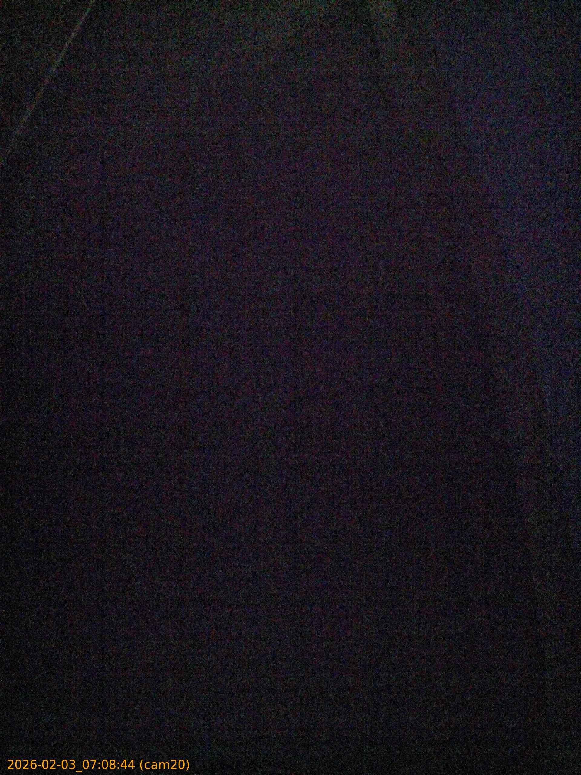 thumbnail_20260203070844