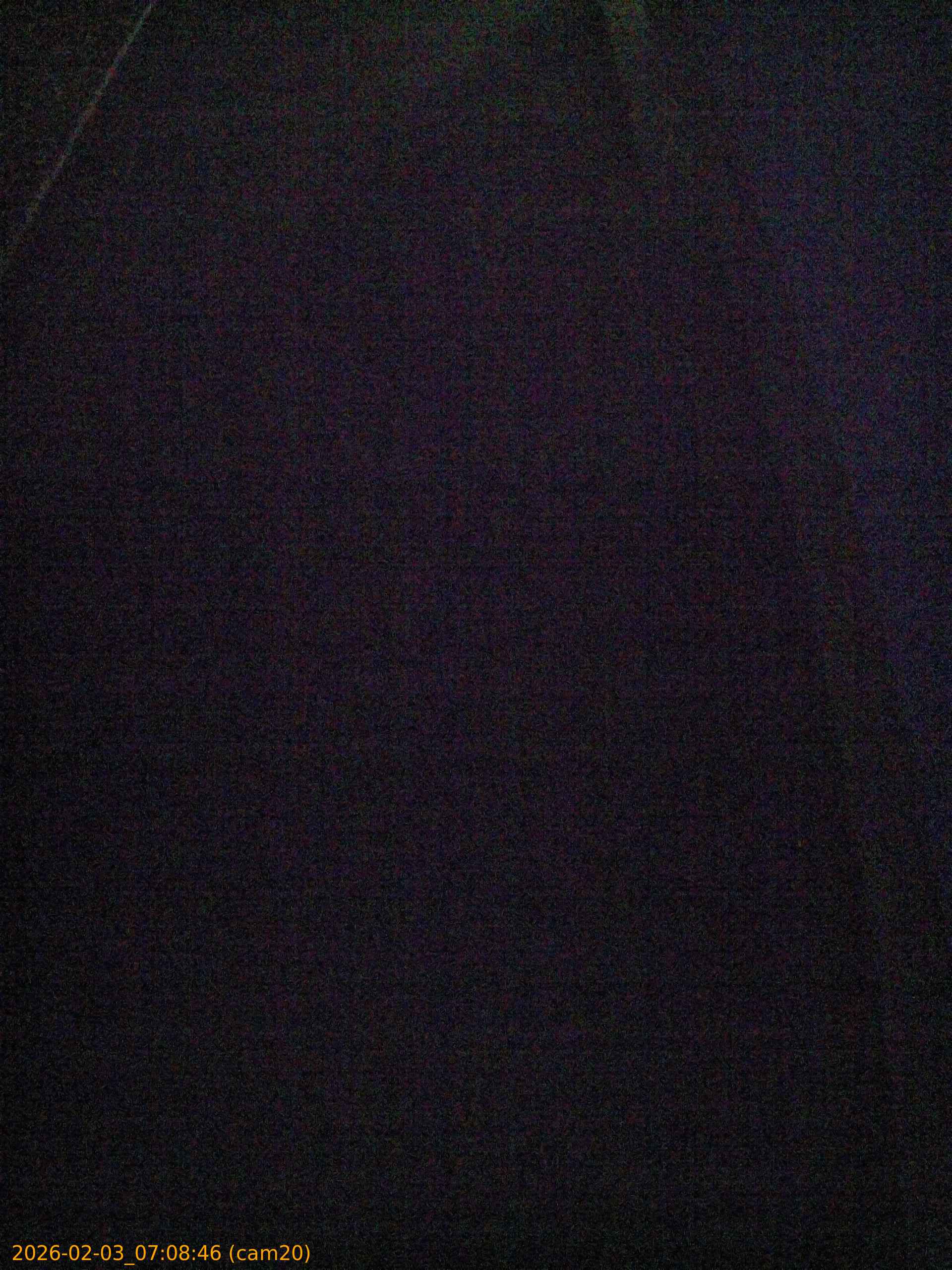 thumbnail_20260203070846