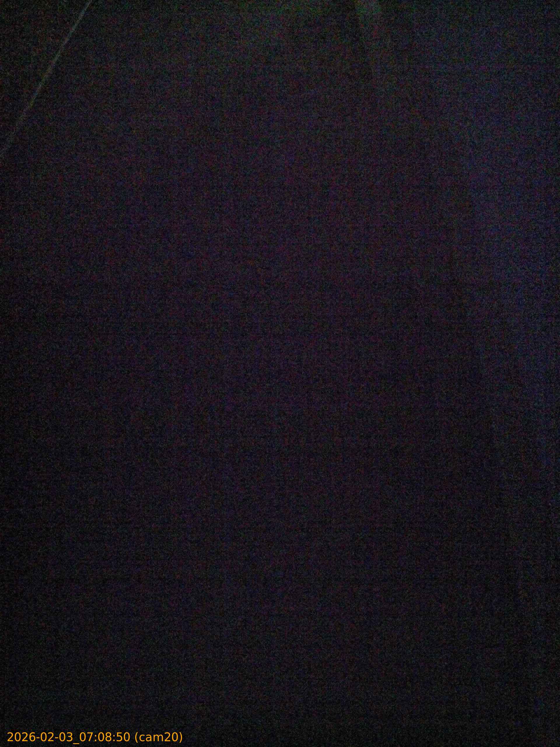 thumbnail_20260203070850