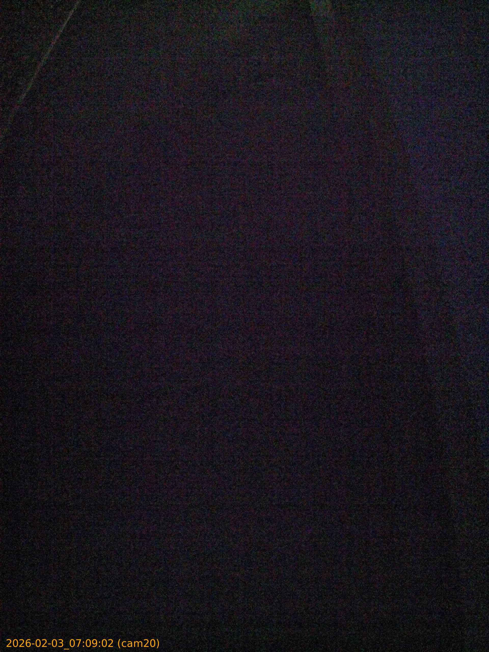 thumbnail_20260203070902