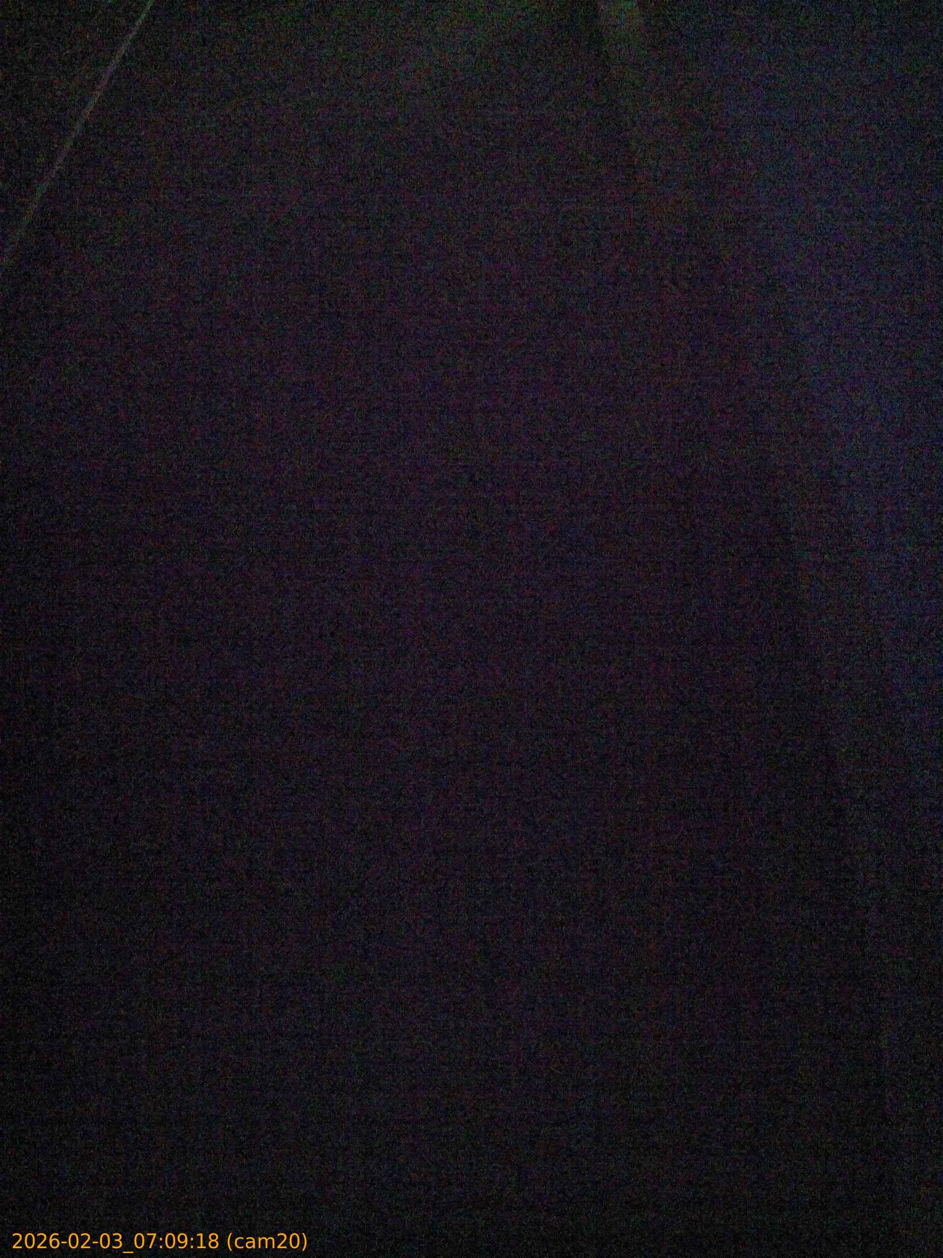 thumbnail_20260203070918