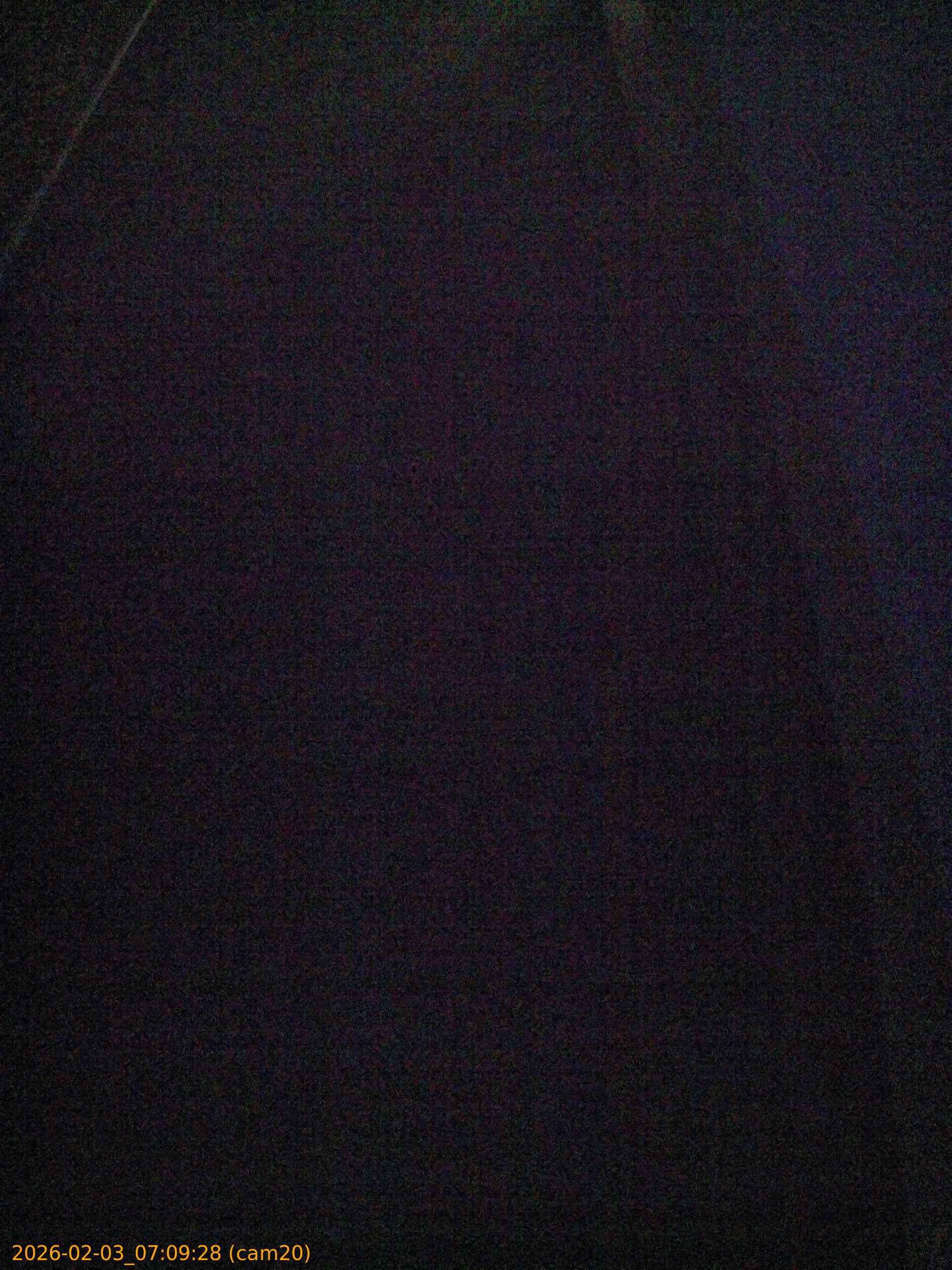 thumbnail_20260203070928