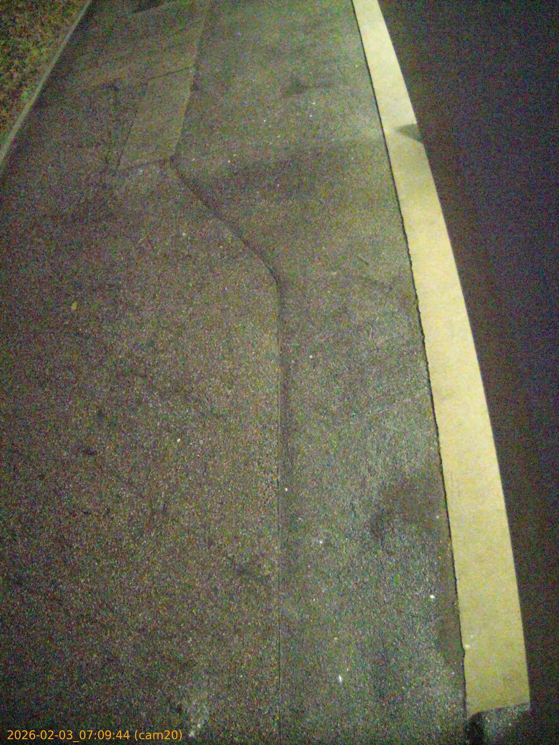 thumbnail_20260203070944