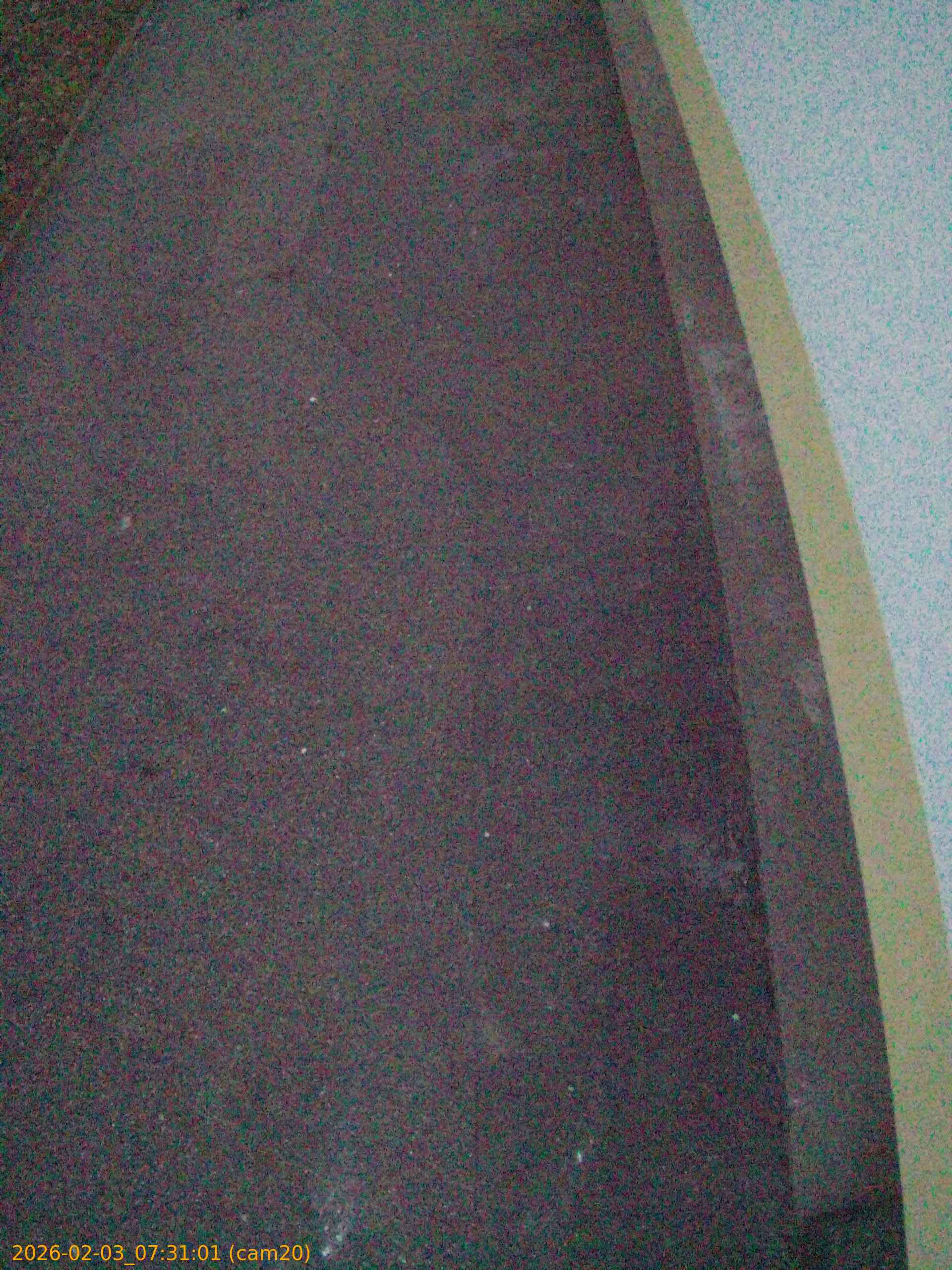 thumbnail_20260203073101