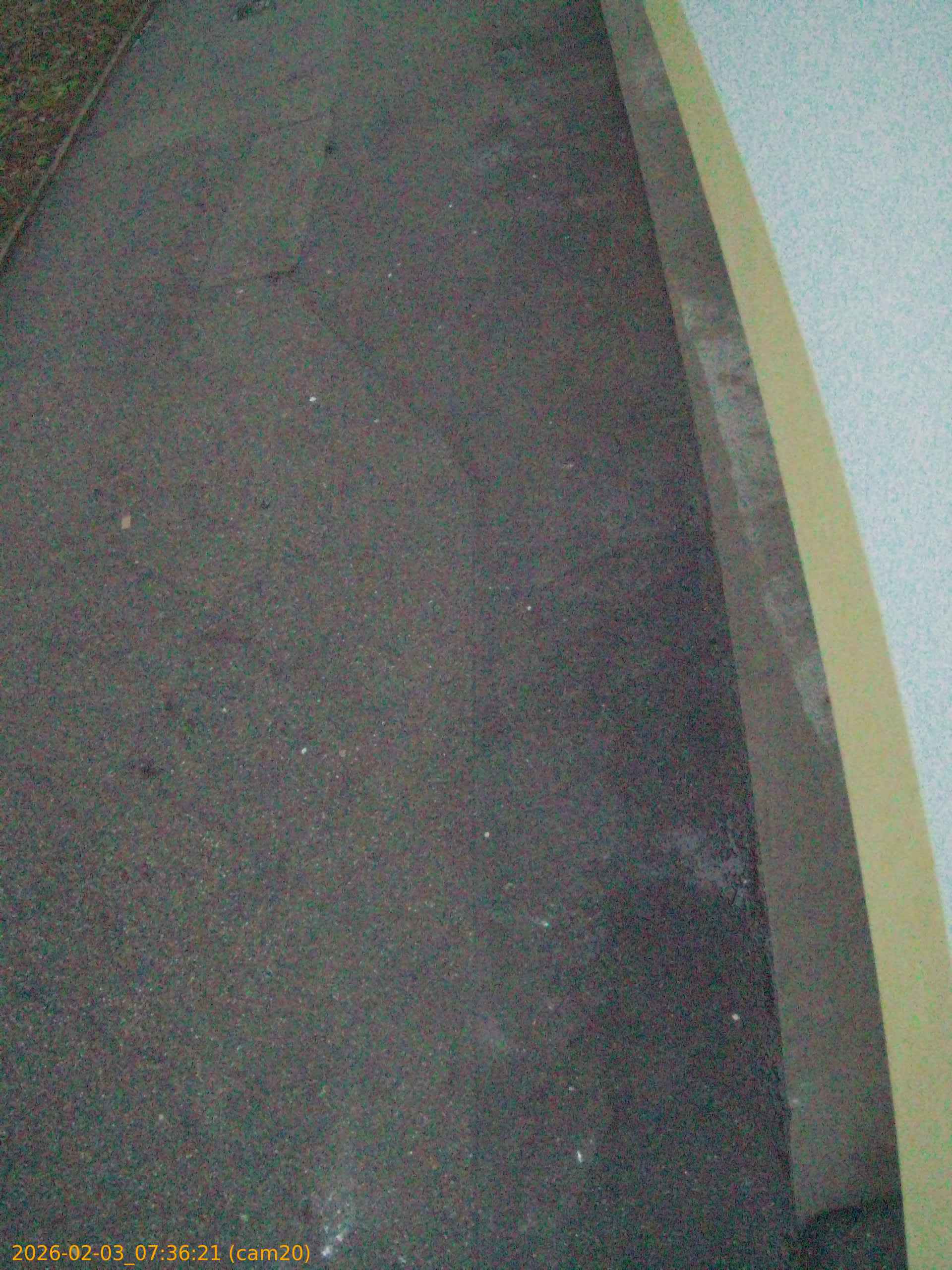 thumbnail_20260203073621