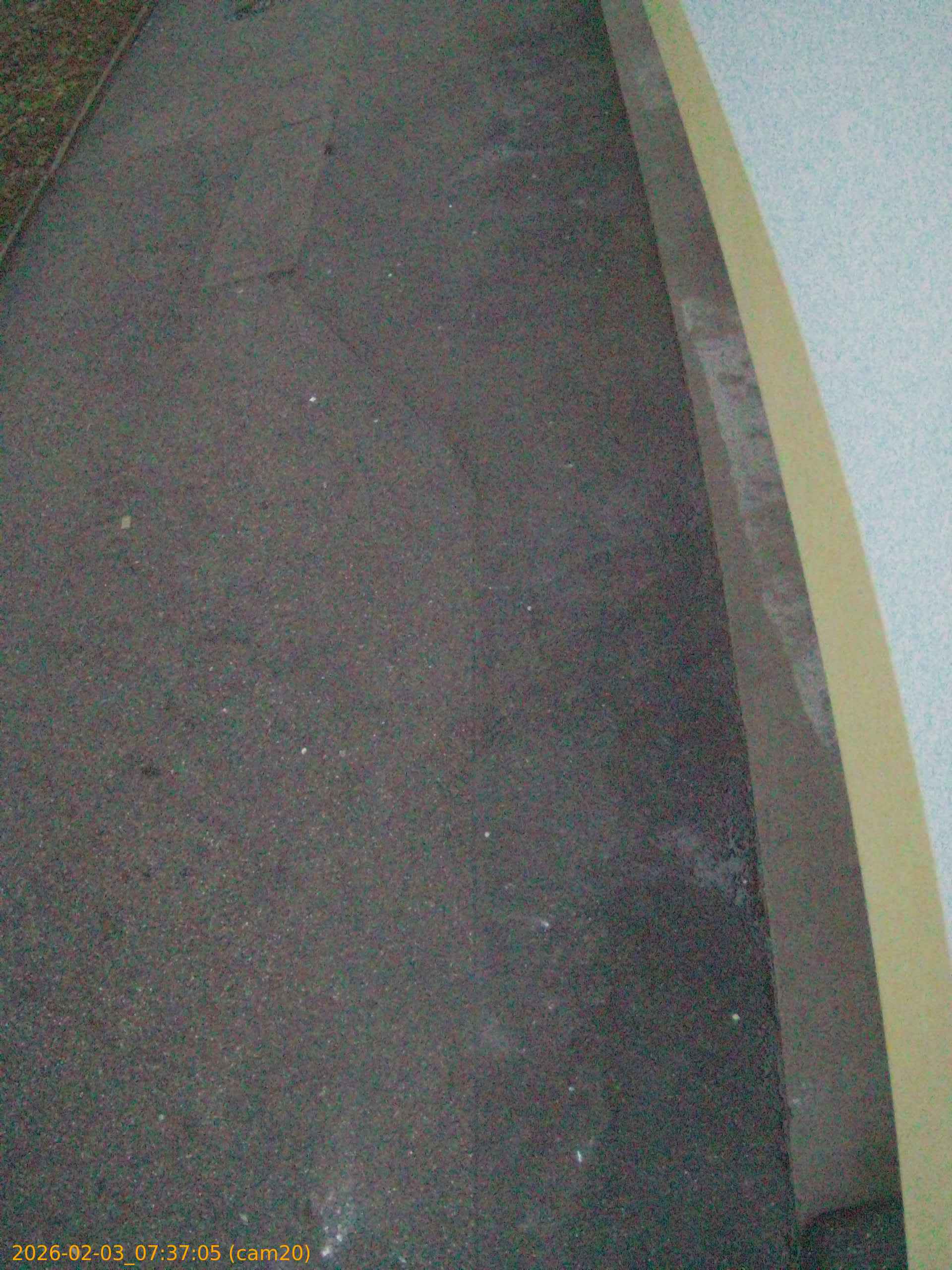 thumbnail_20260203073705