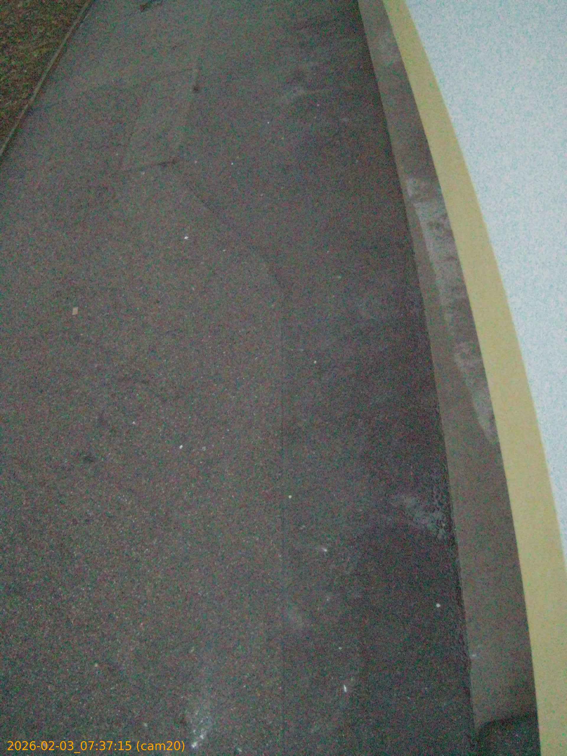 thumbnail_20260203073715