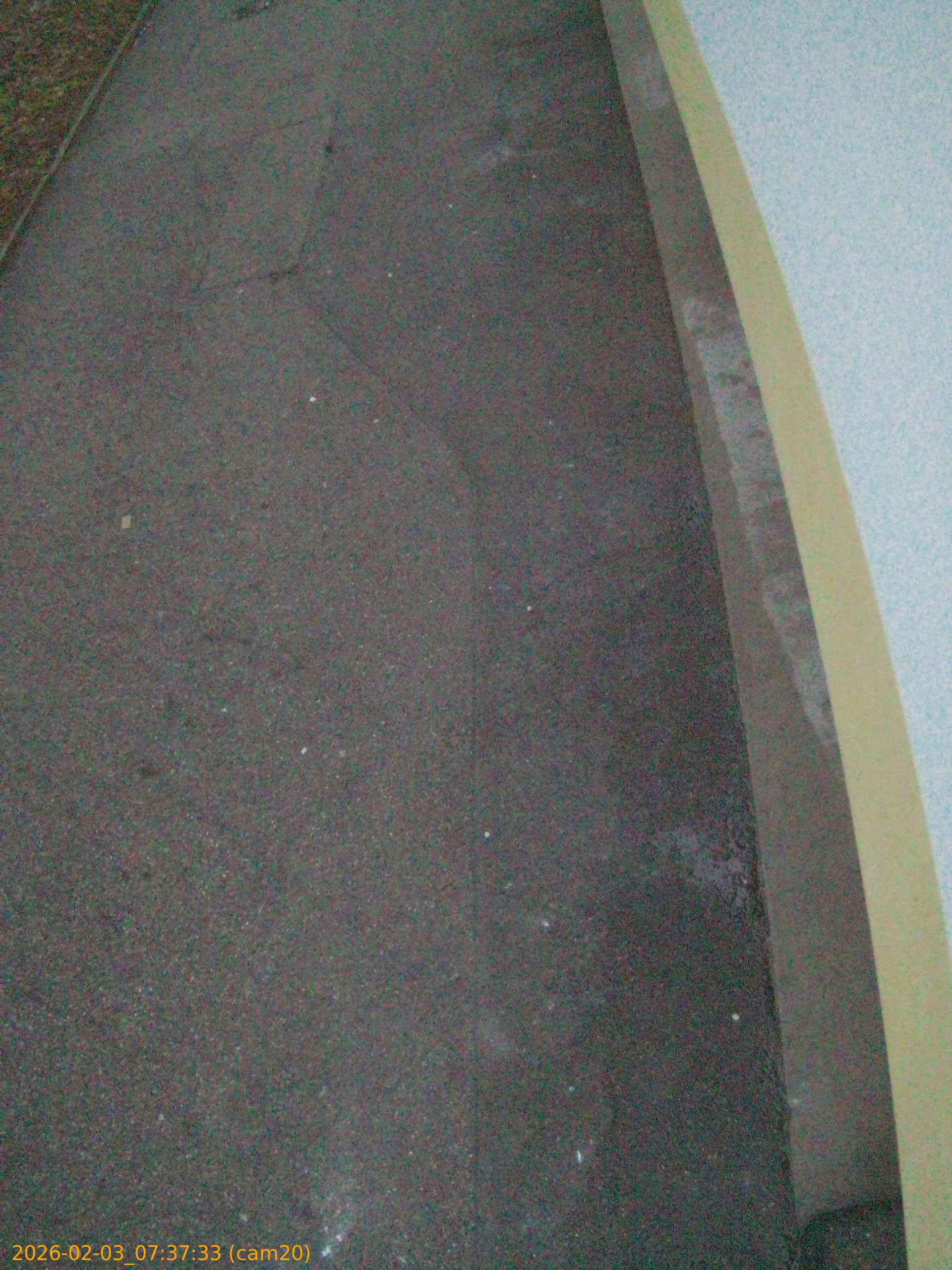 thumbnail_20260203073733