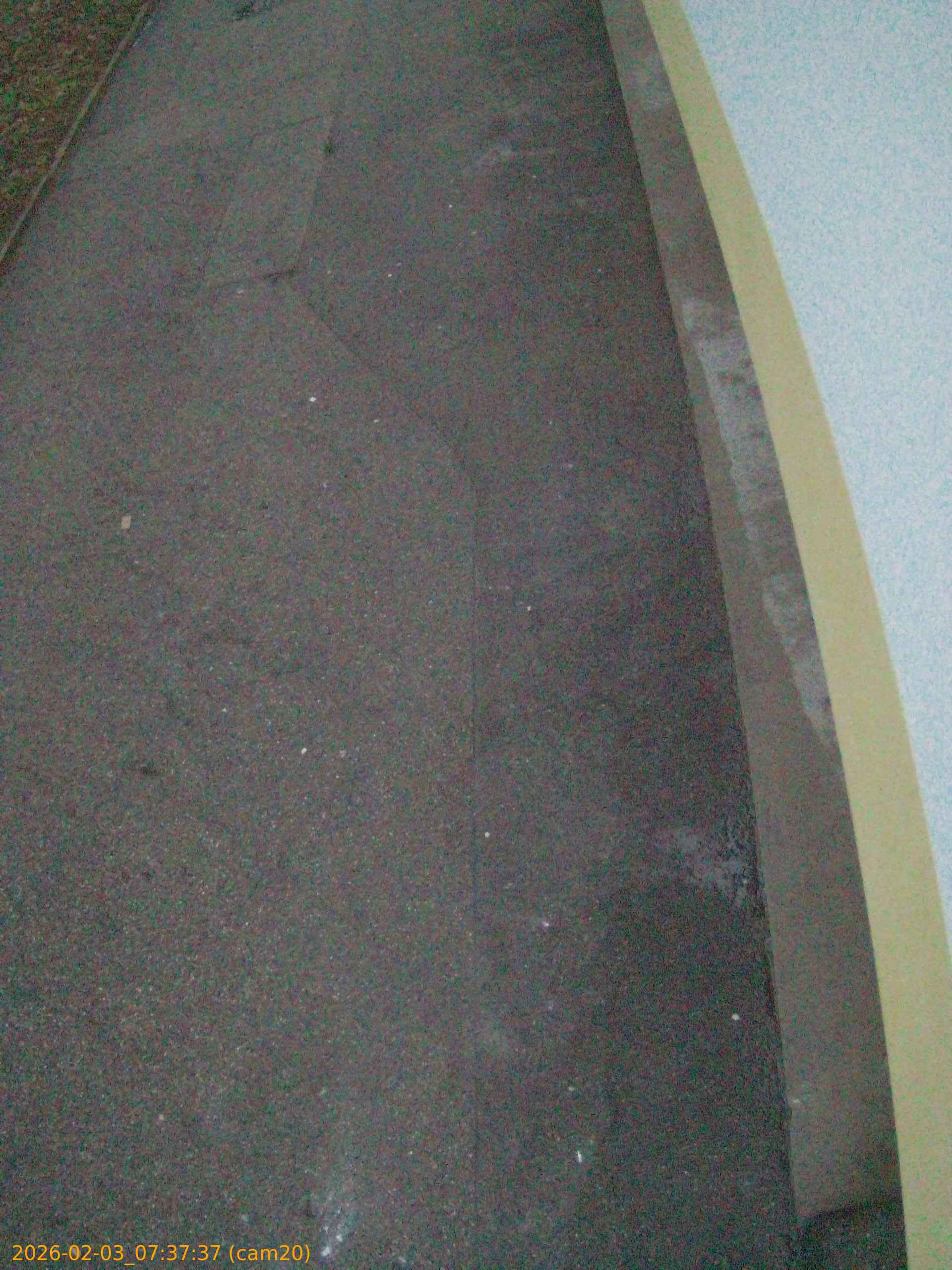 thumbnail_20260203073737