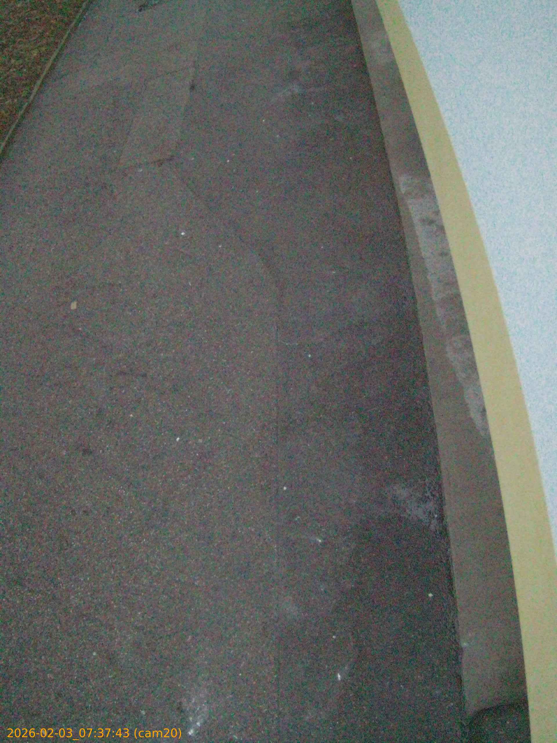 thumbnail_20260203073743