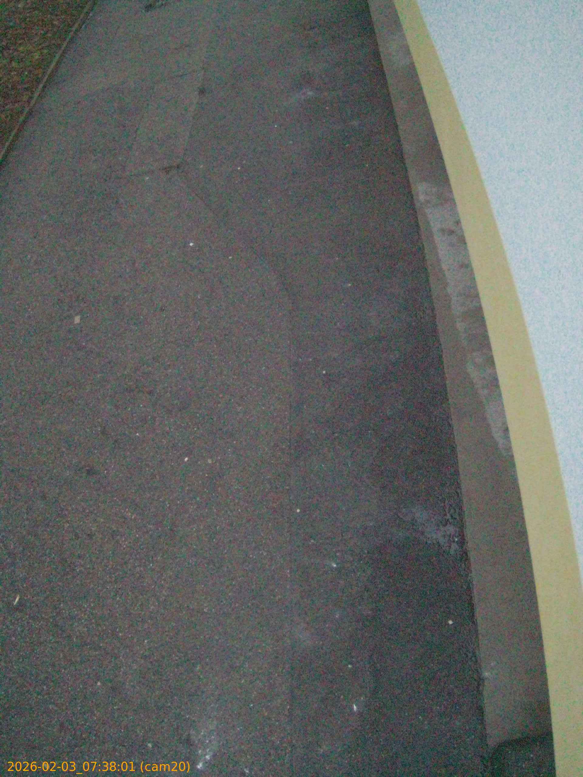 thumbnail_20260203073801