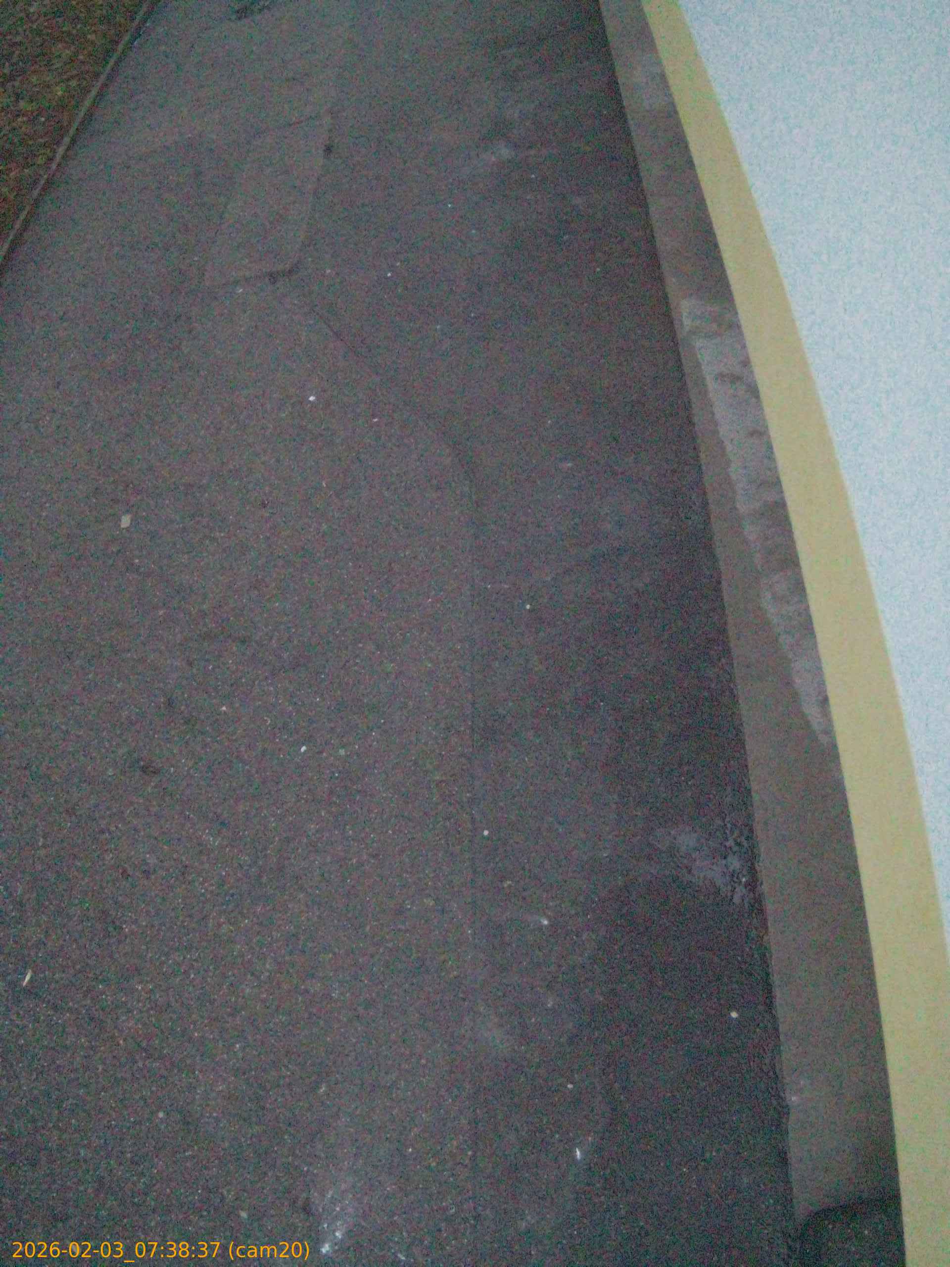 thumbnail_20260203073837