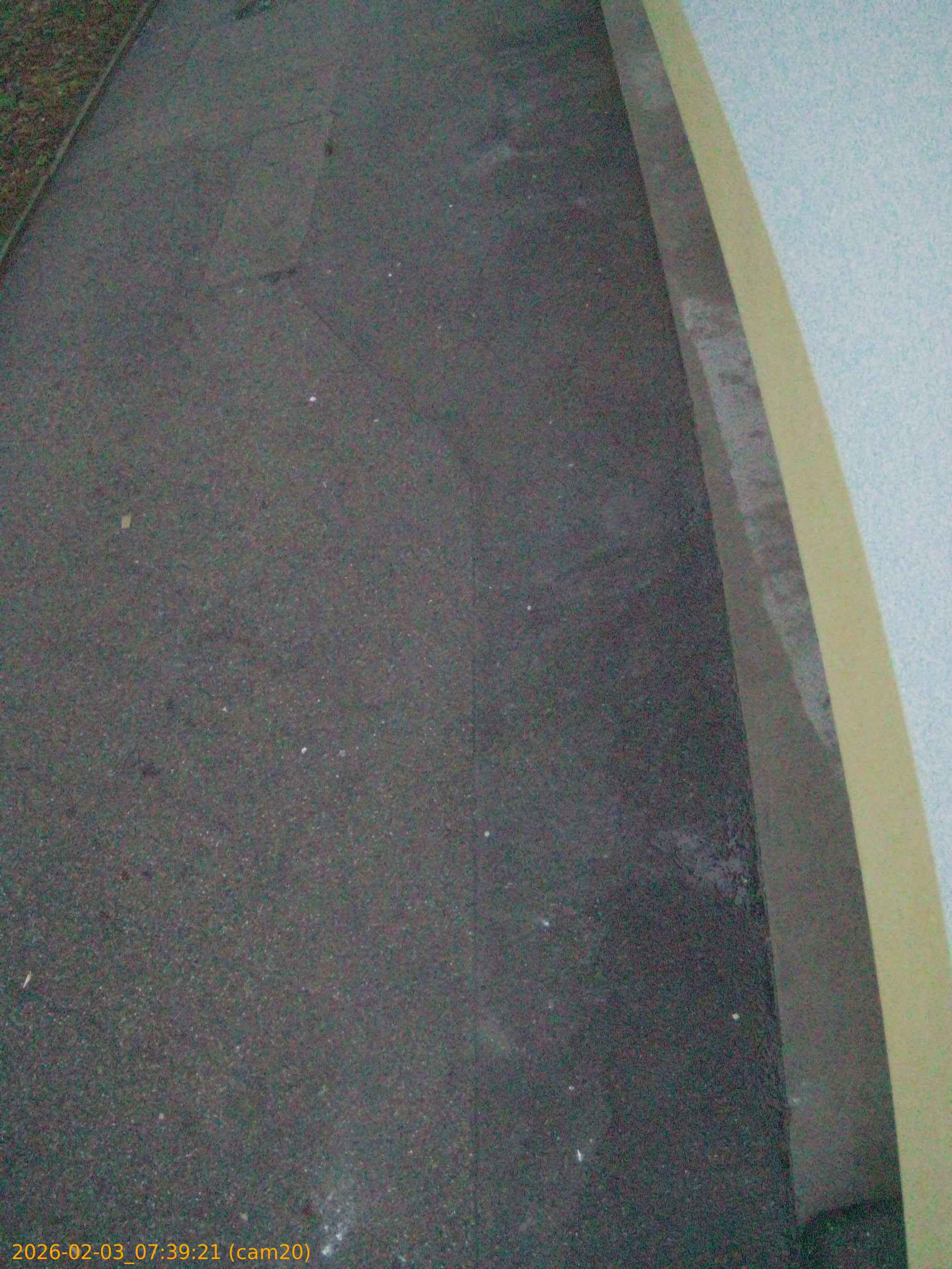 thumbnail_20260203073921