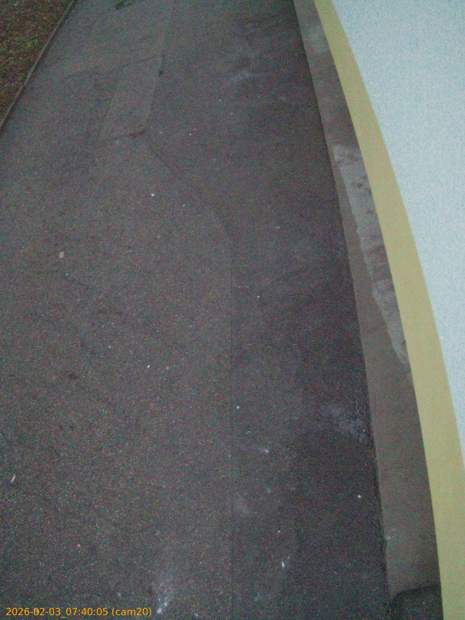 thumbnail_20260203074005