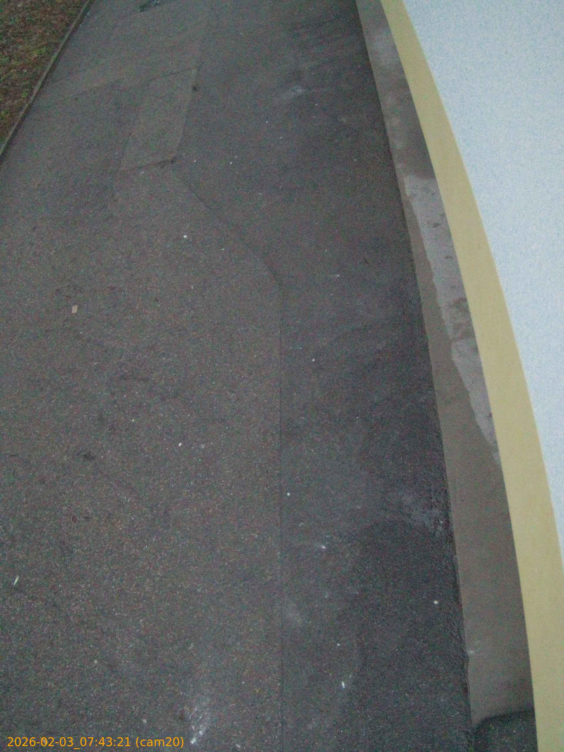 thumbnail_20260203074321