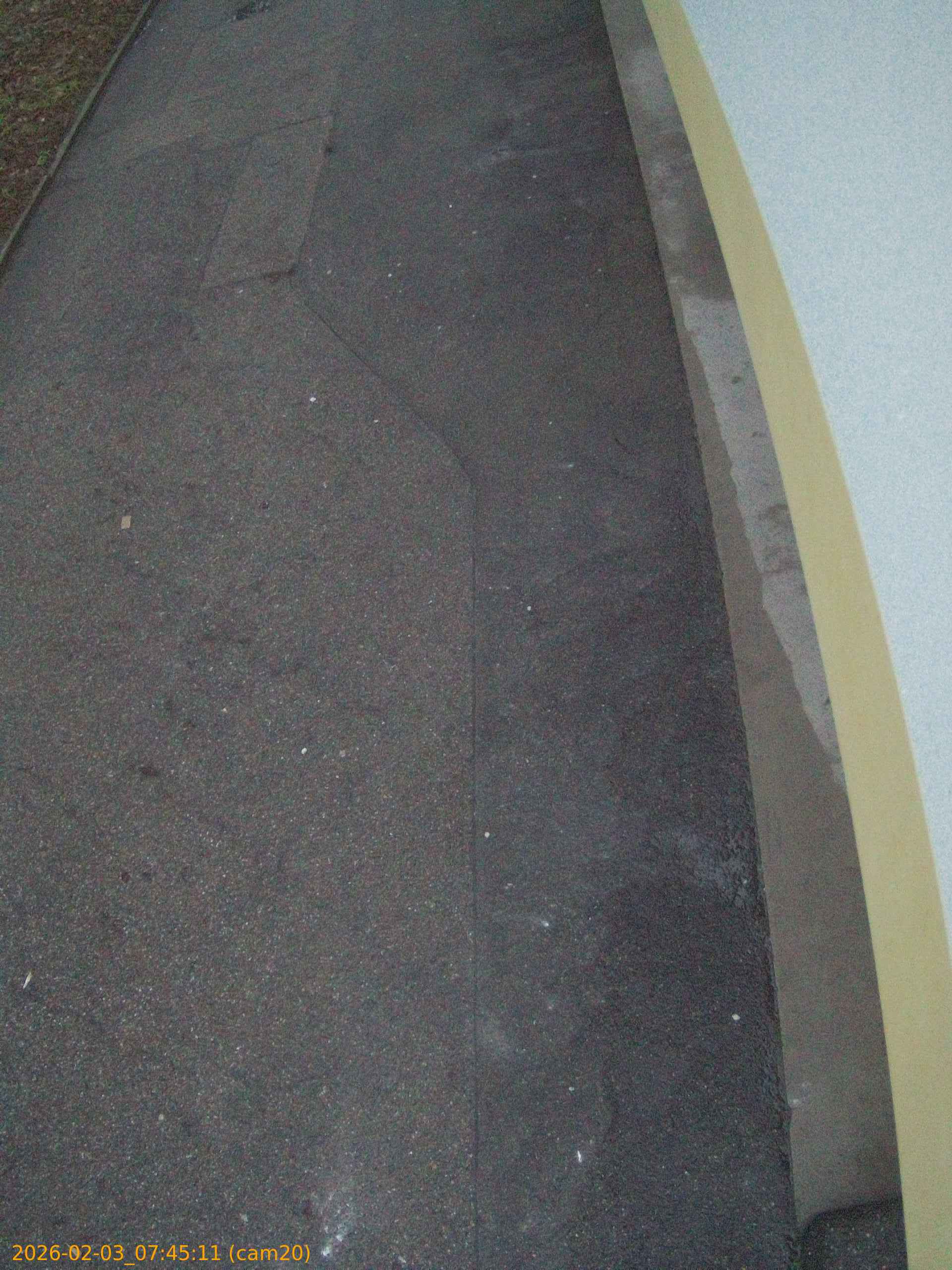 thumbnail_20260203074511