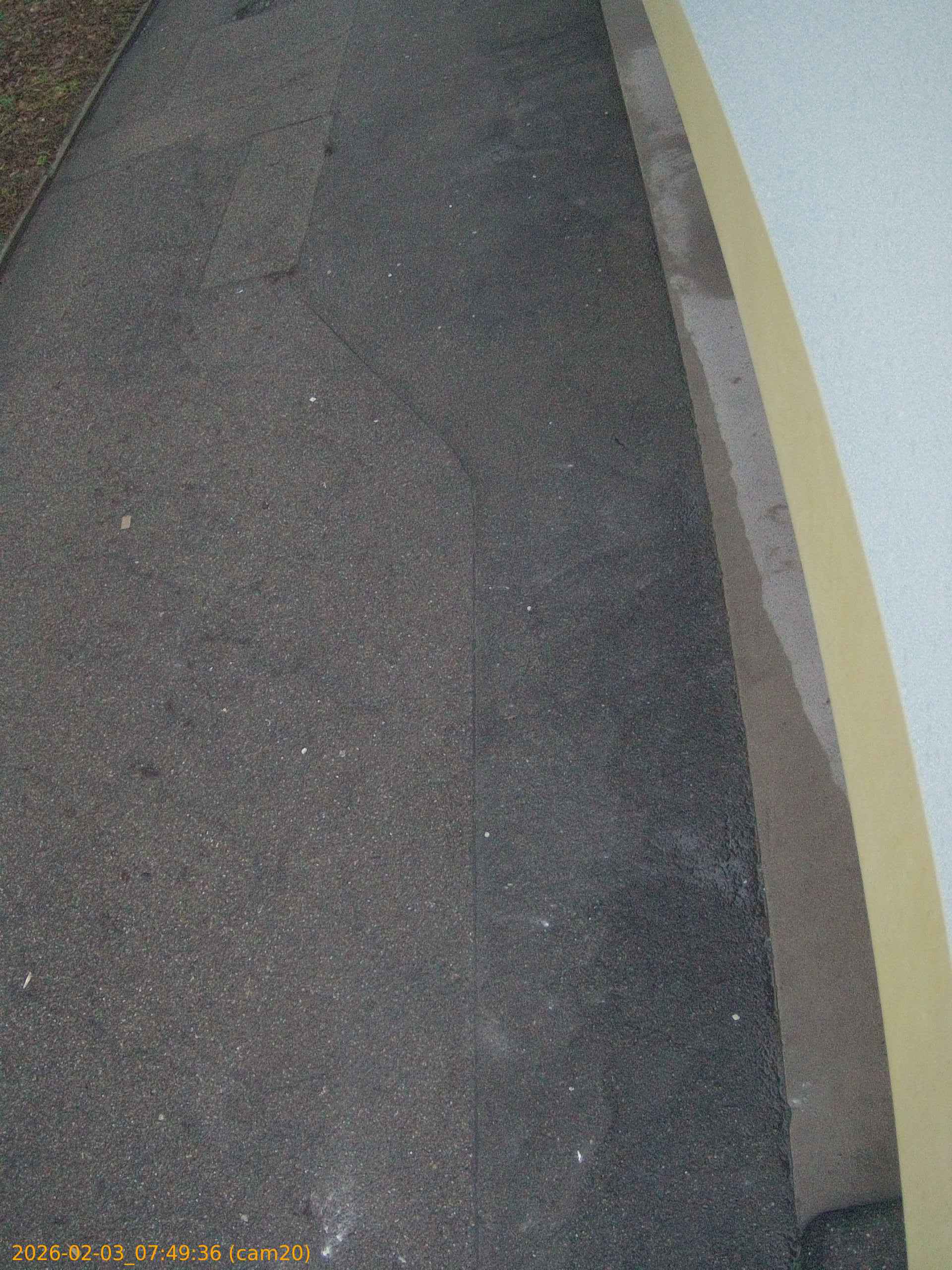 thumbnail_20260203074936