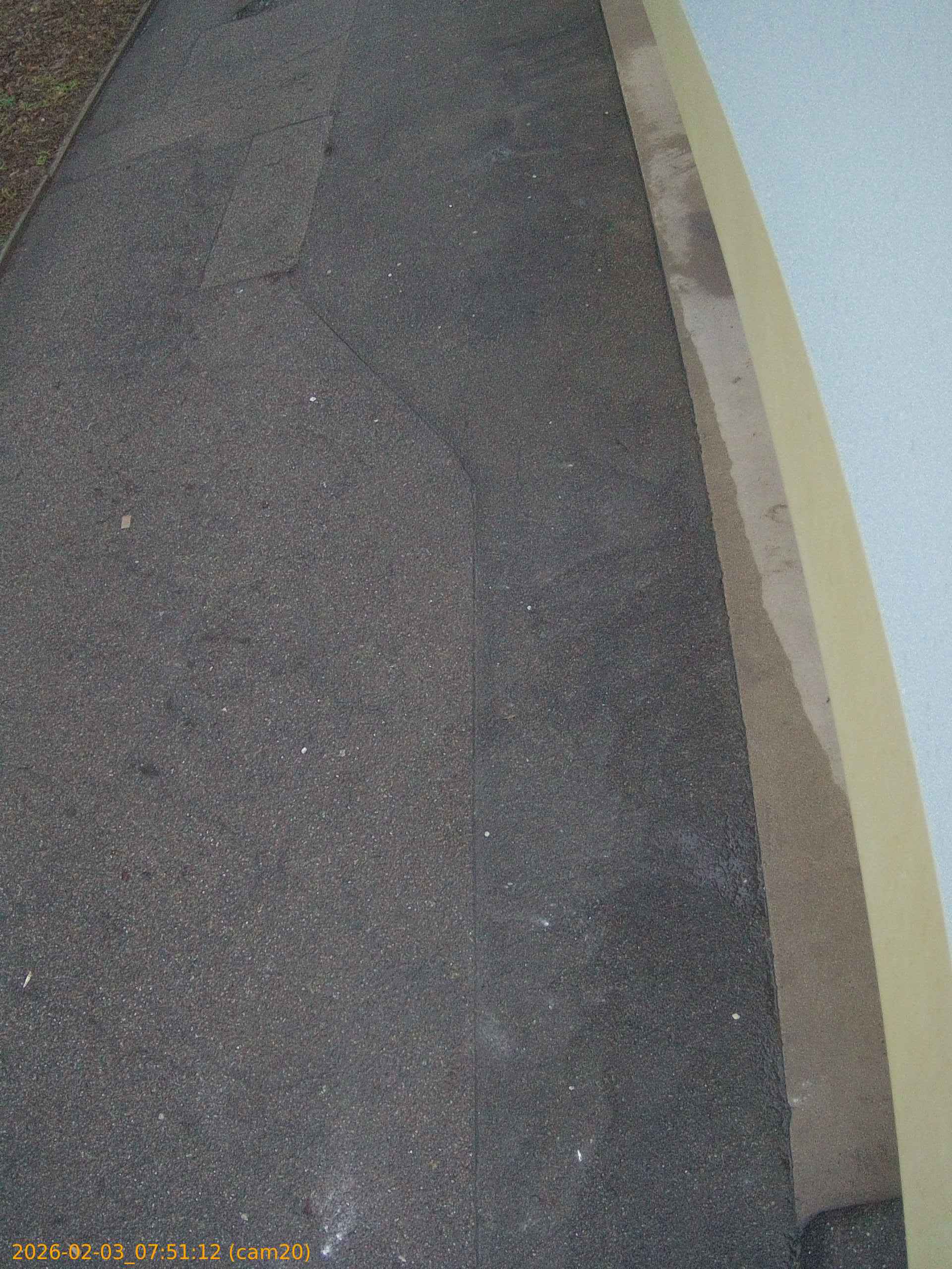 thumbnail_20260203075112