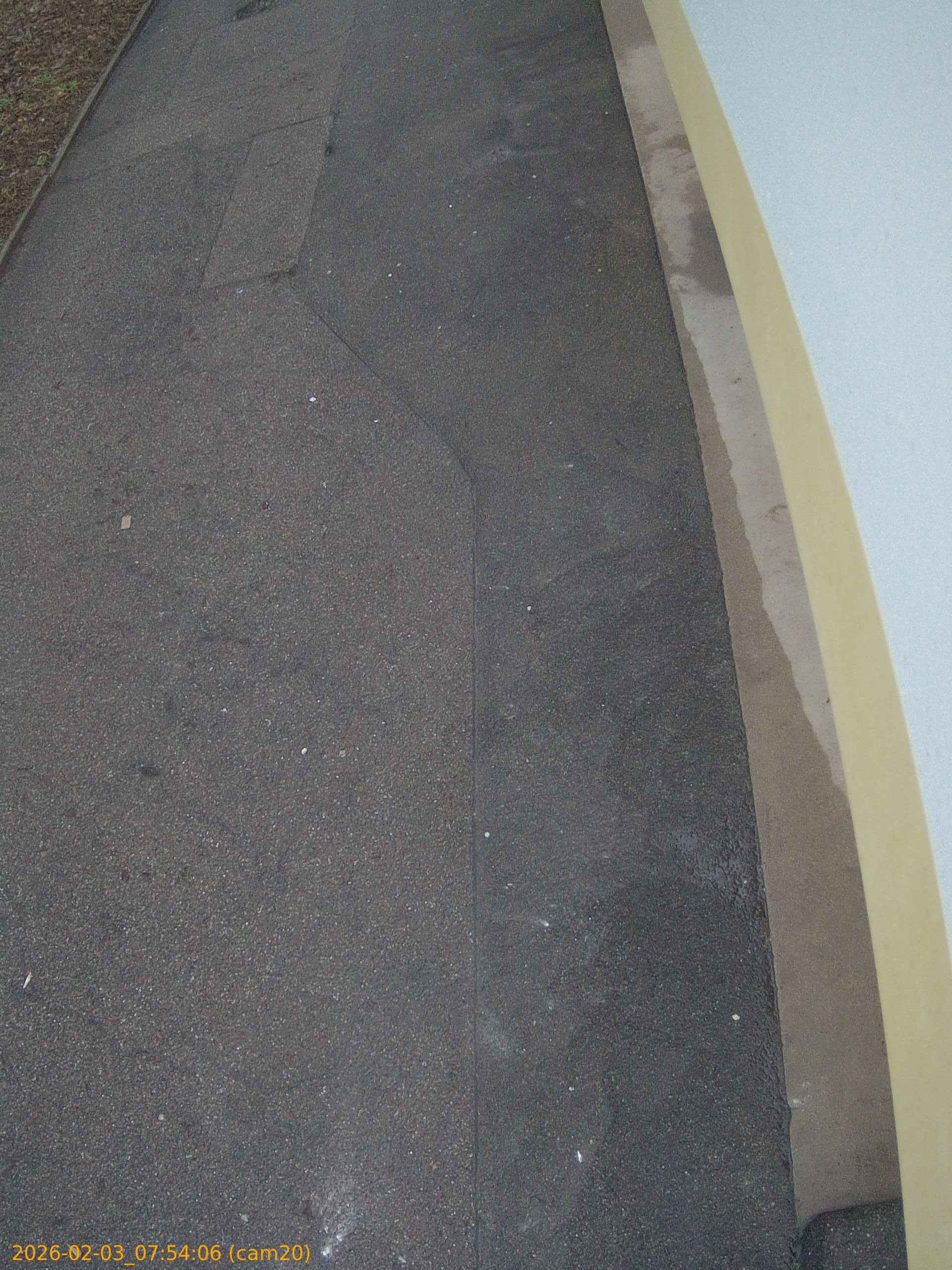 thumbnail_20260203075406