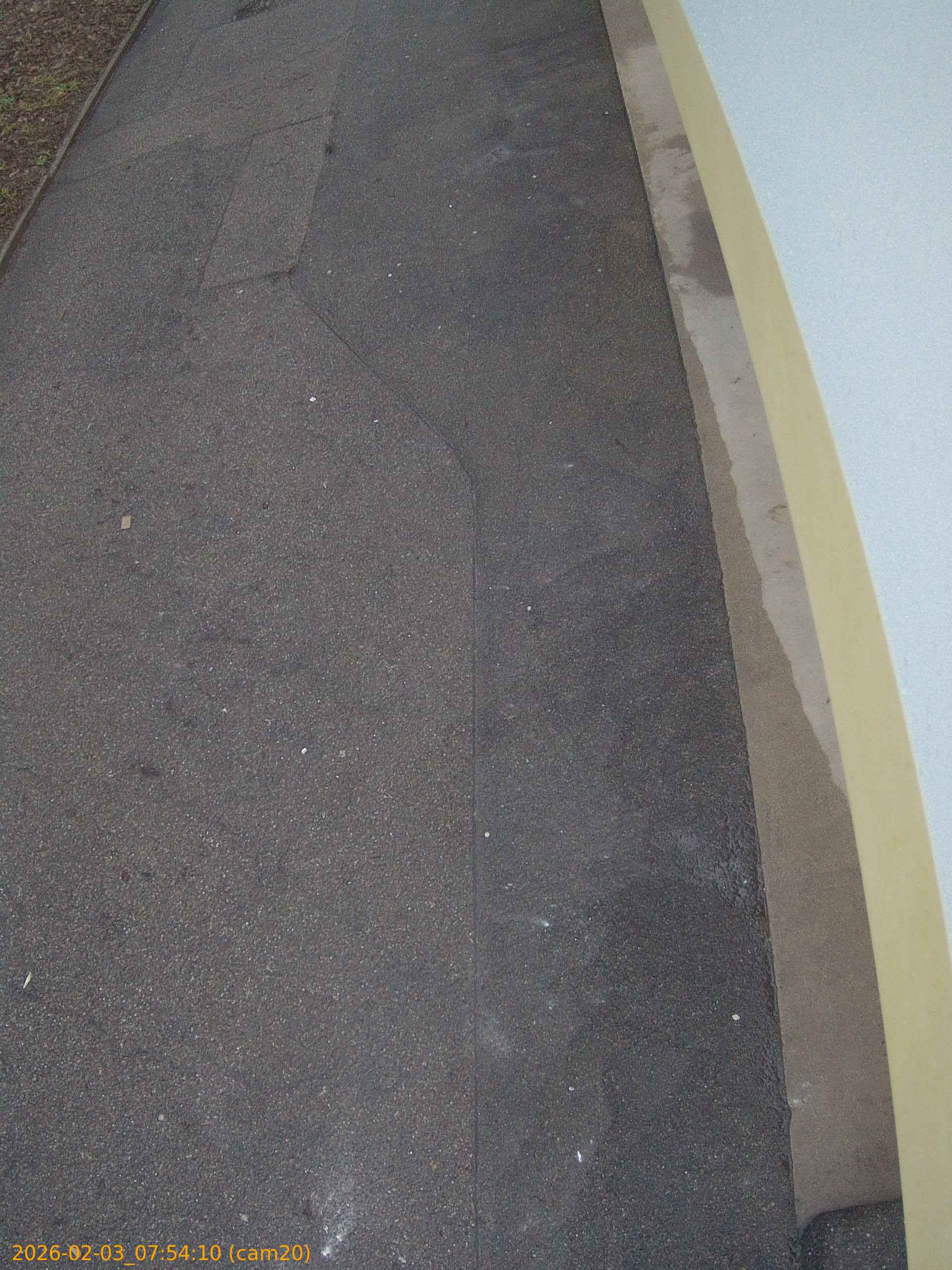 thumbnail_20260203075410