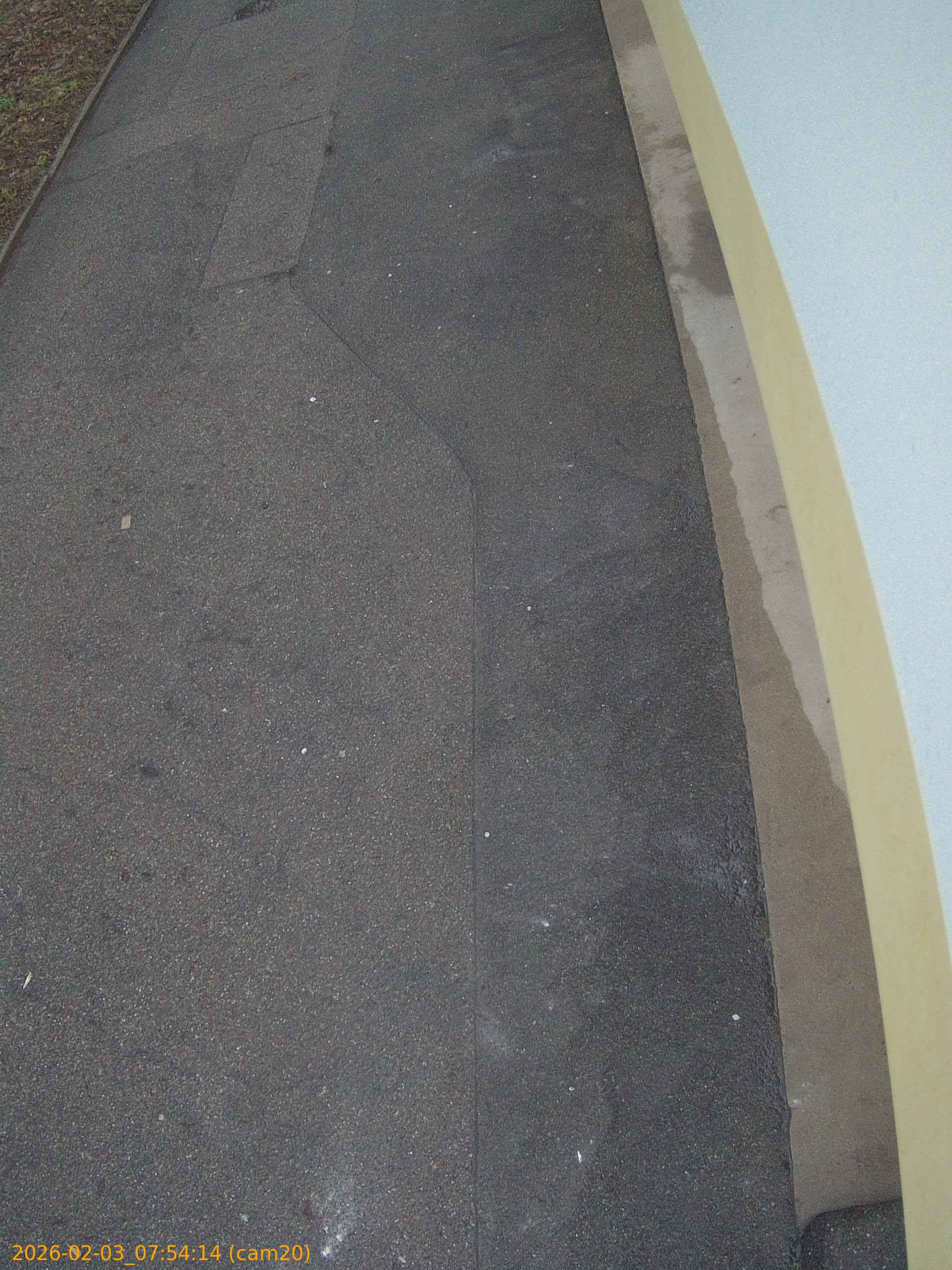 thumbnail_20260203075414