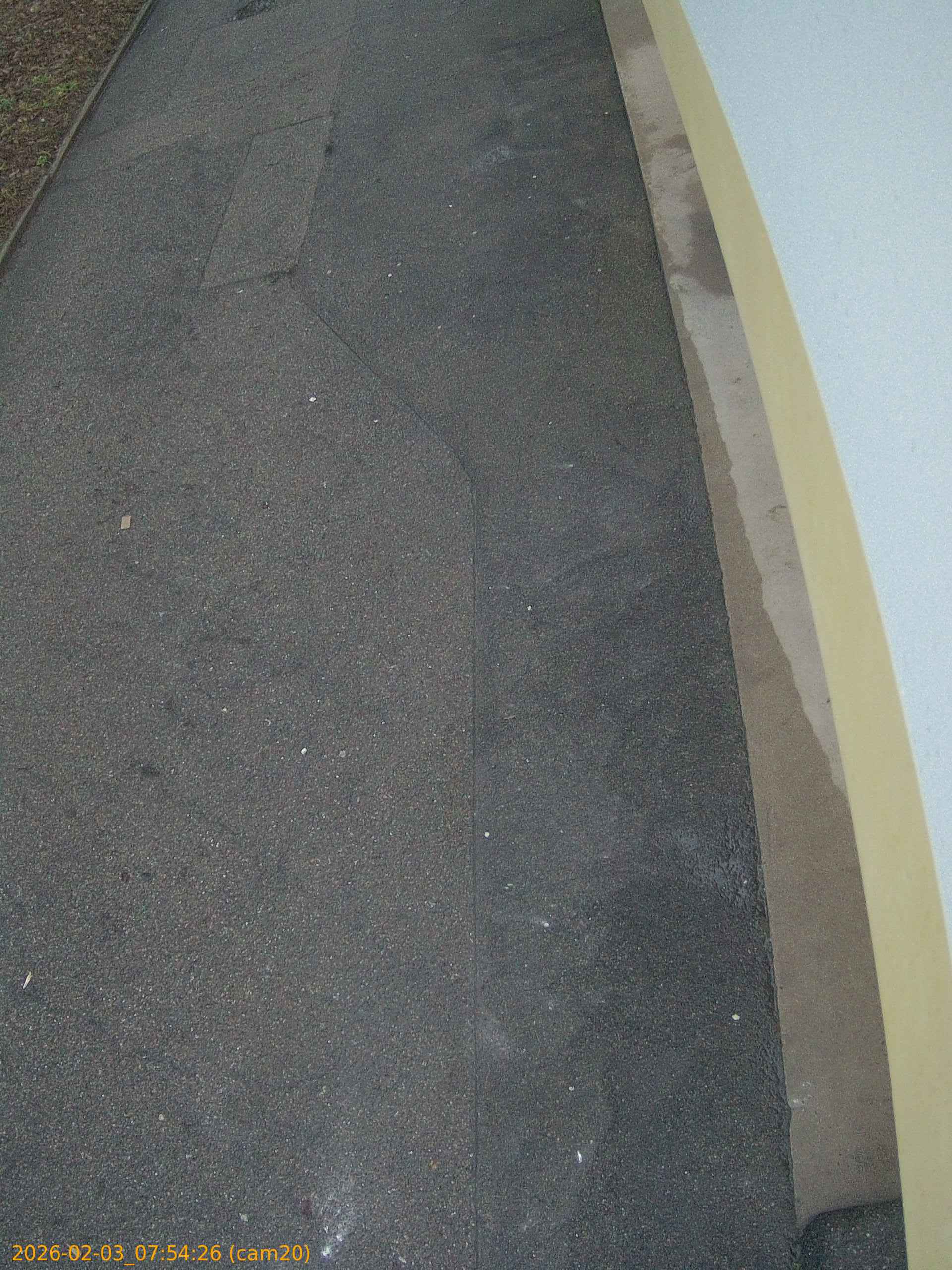 thumbnail_20260203075426