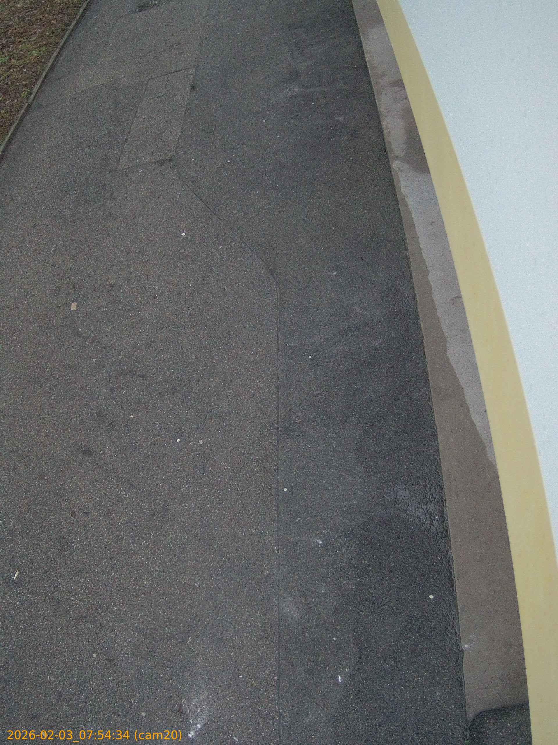 thumbnail_20260203075434