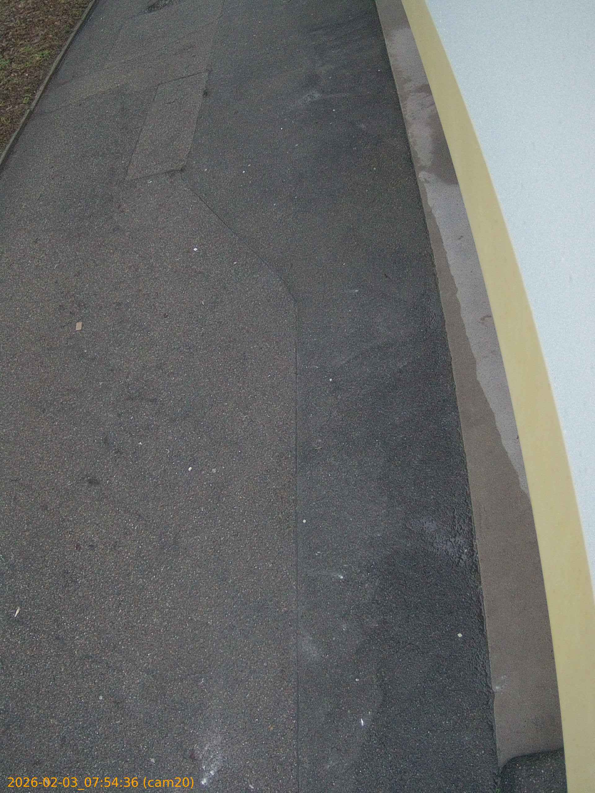 thumbnail_20260203075436