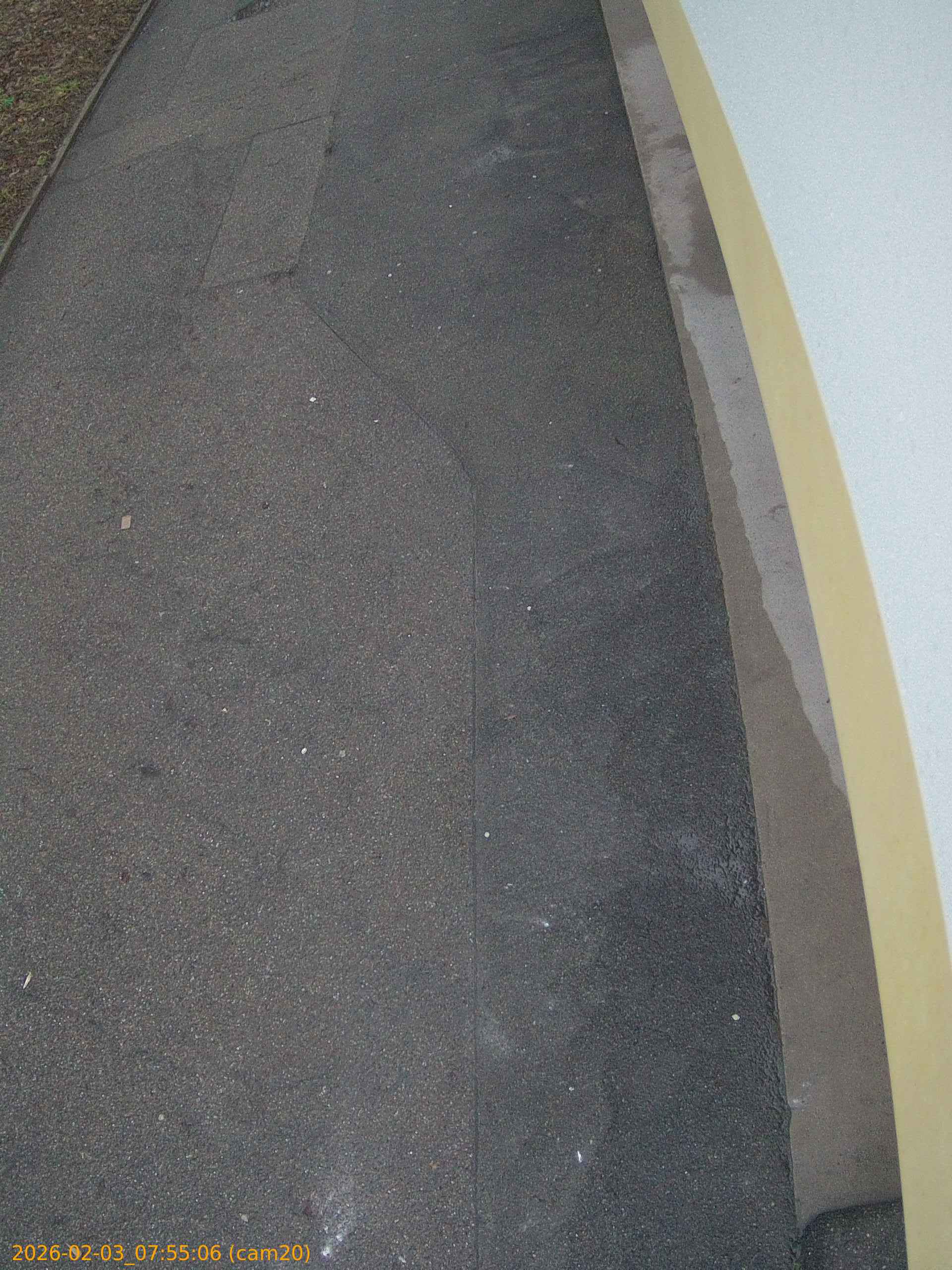 thumbnail_20260203075506