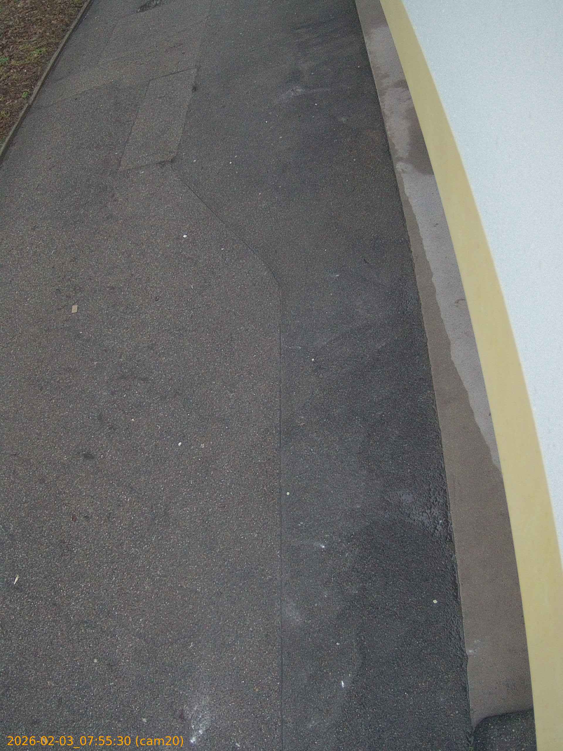 thumbnail_20260203075530