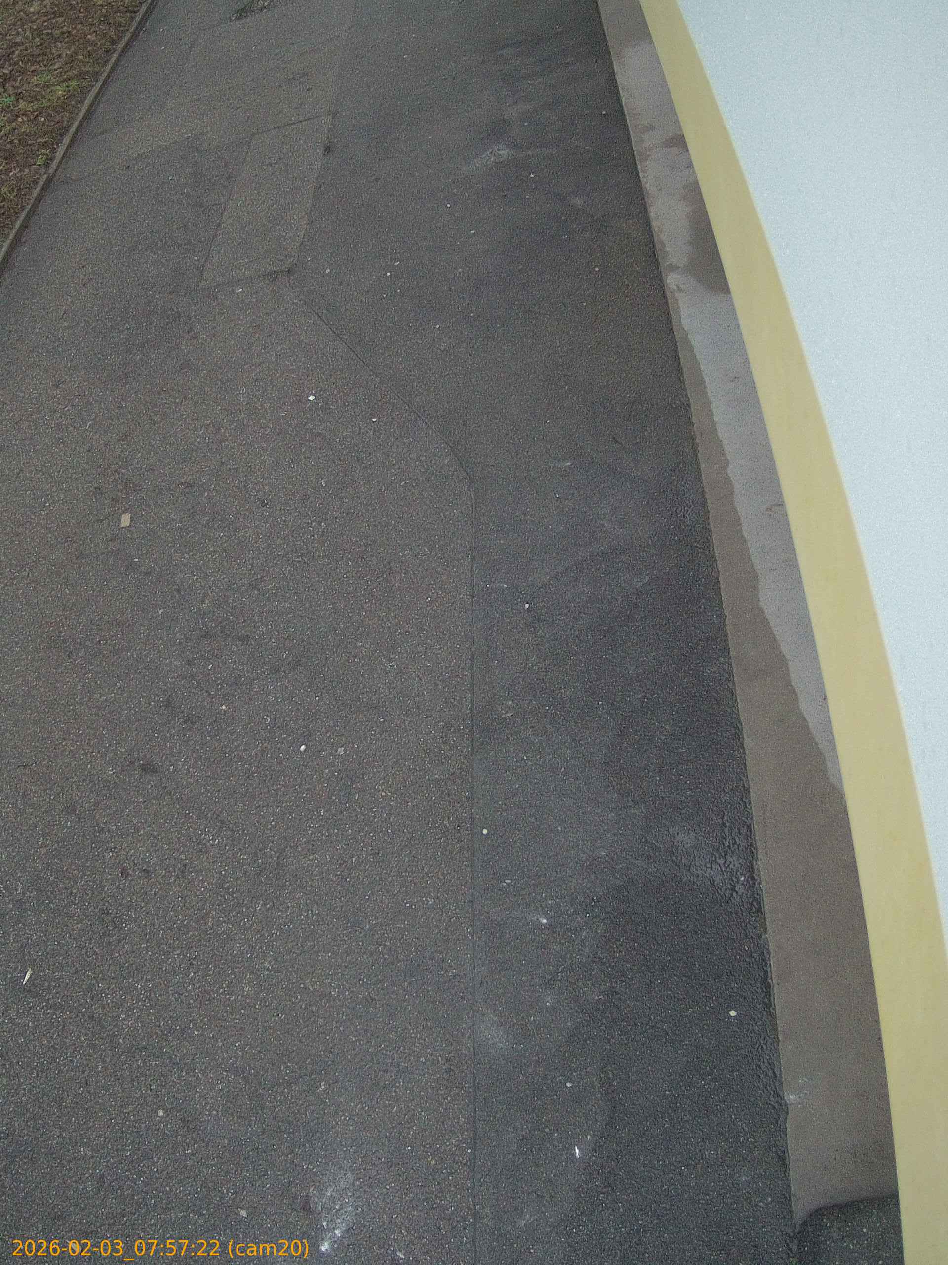 thumbnail_20260203075722