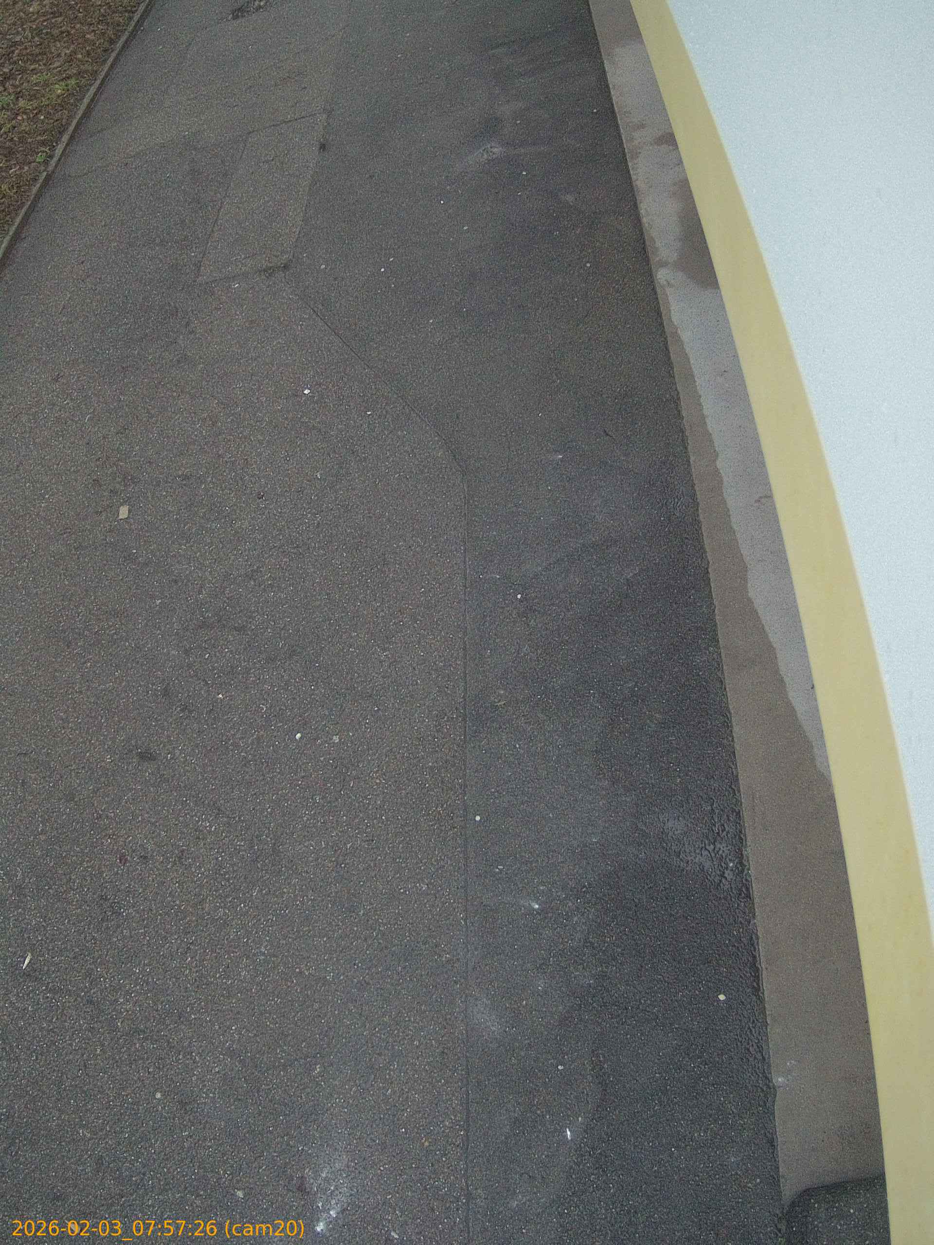 thumbnail_20260203075726