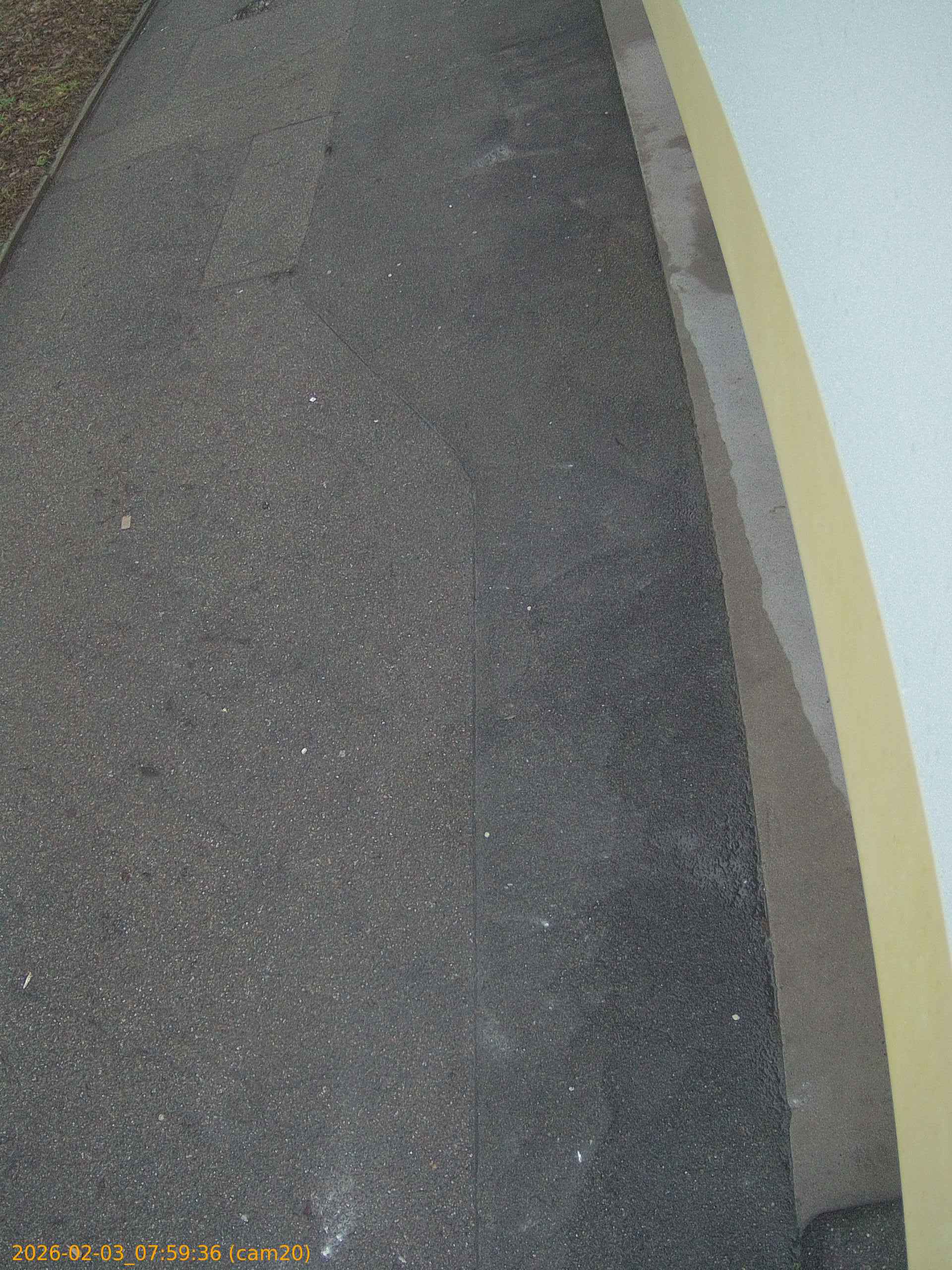 thumbnail_20260203075936