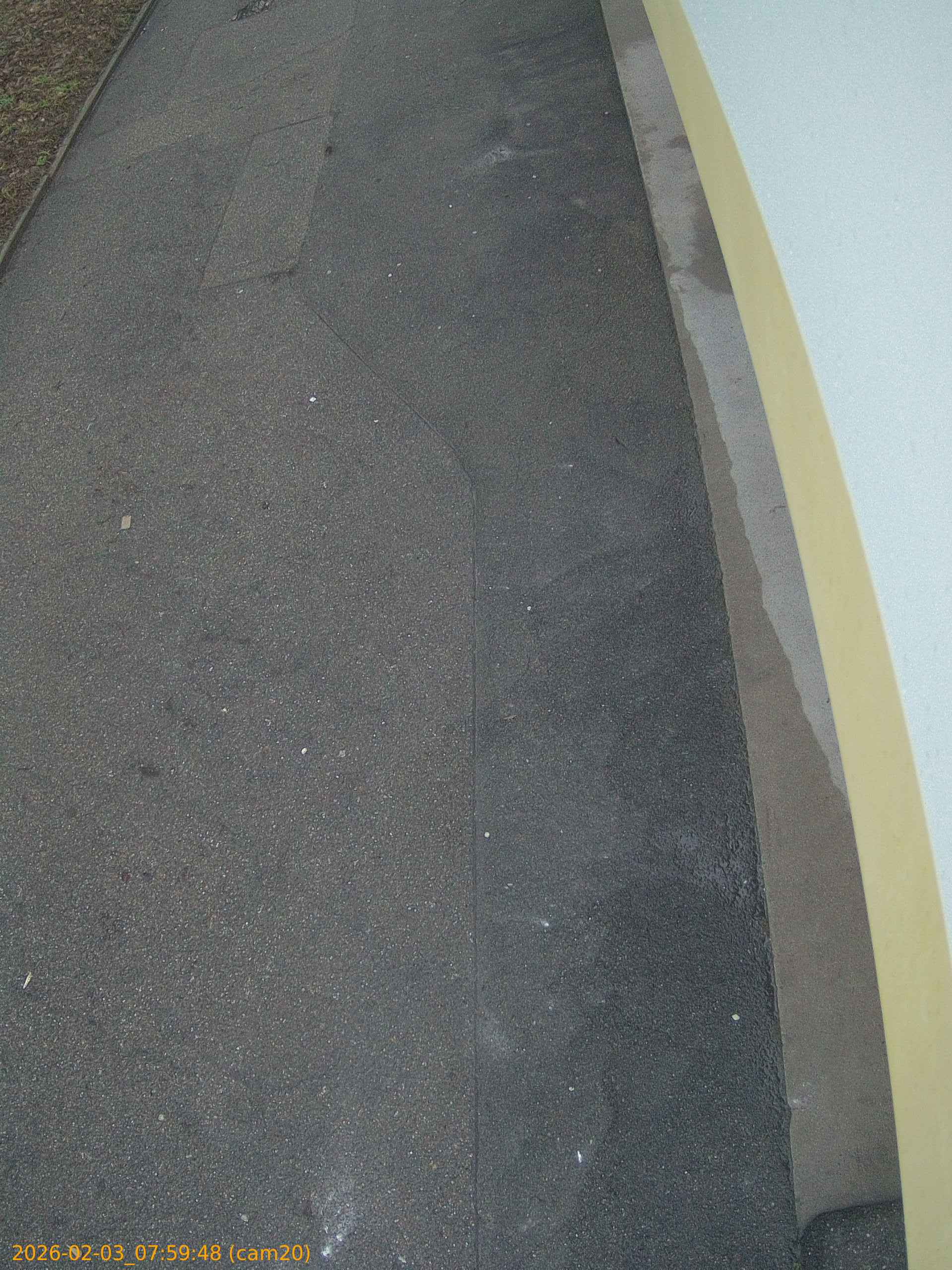 thumbnail_20260203075948