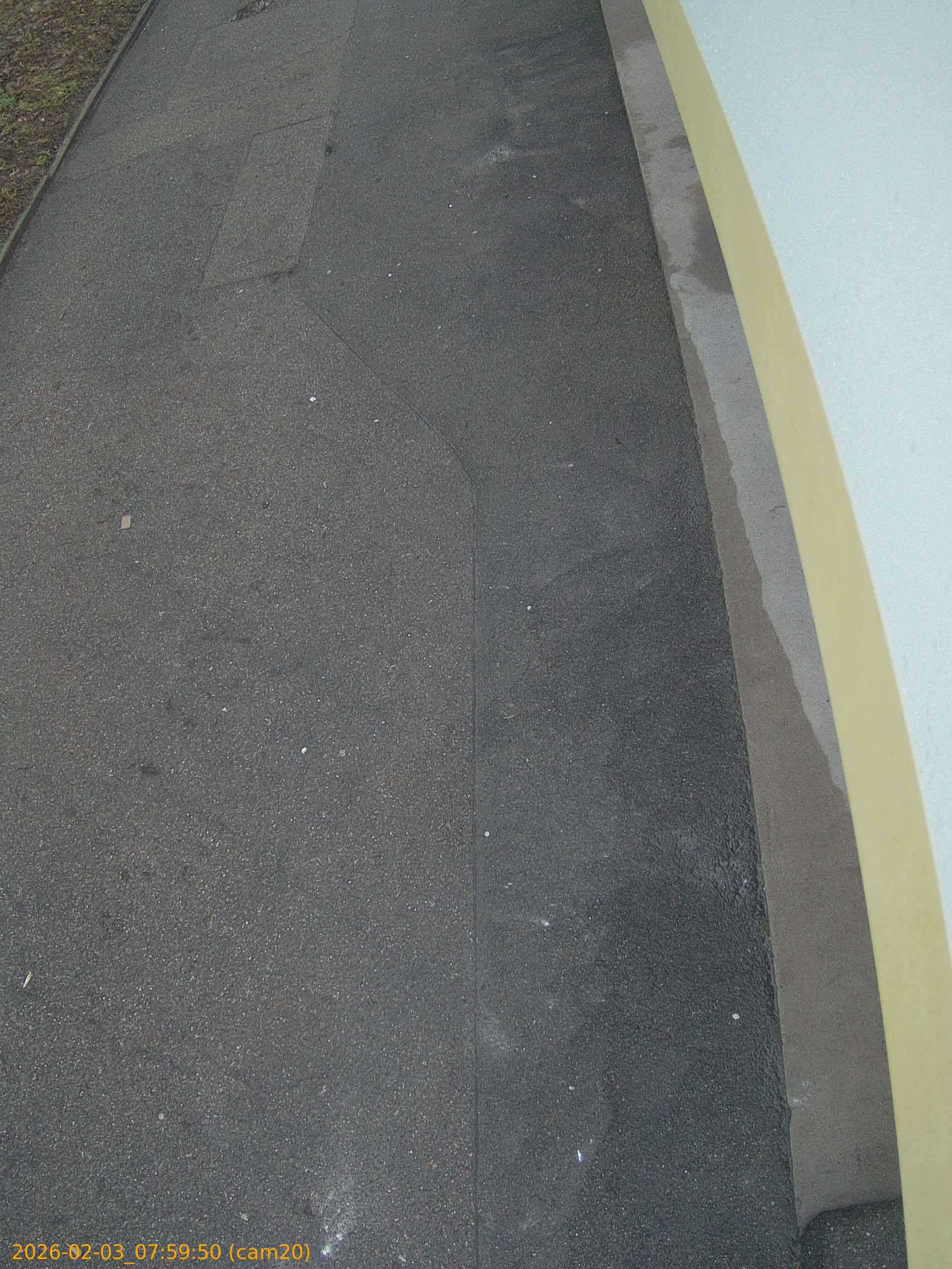 thumbnail_20260203075950