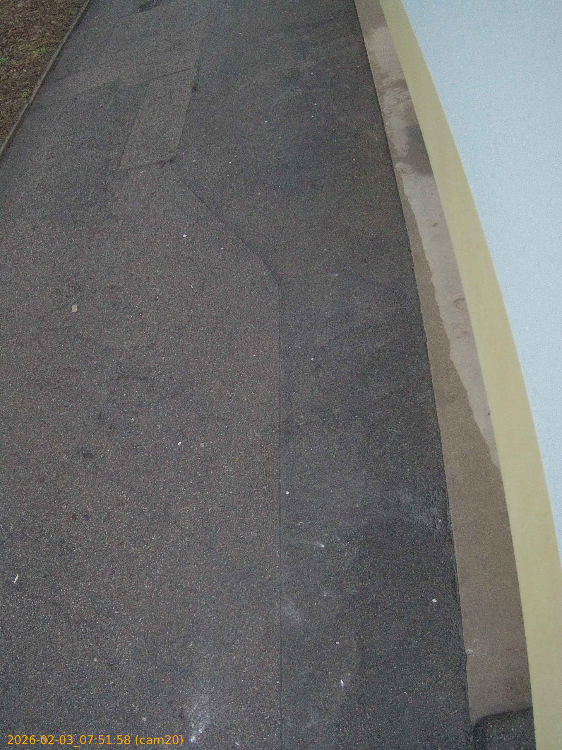 thumbnail_202602030751