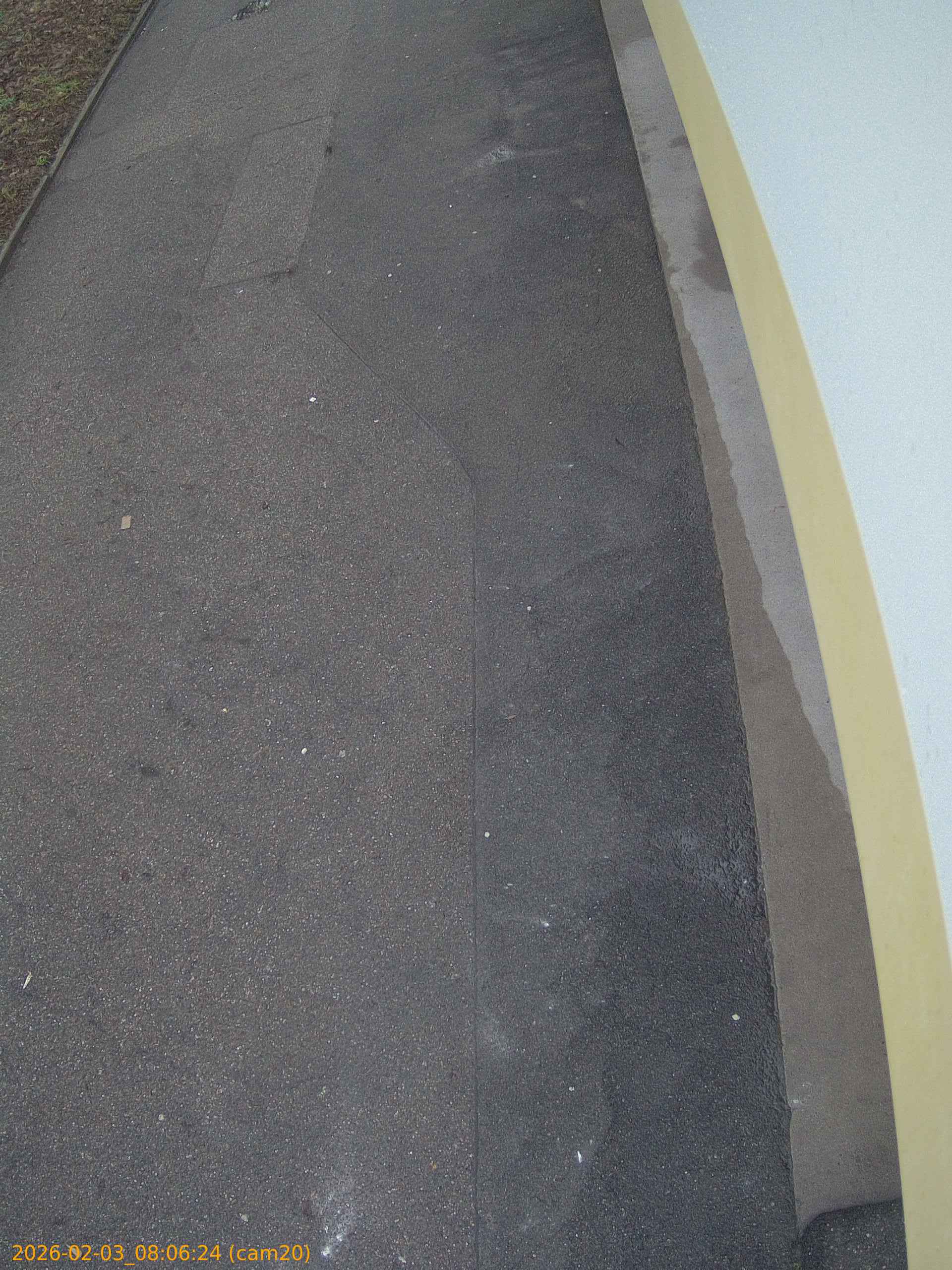 thumbnail_20260203080624