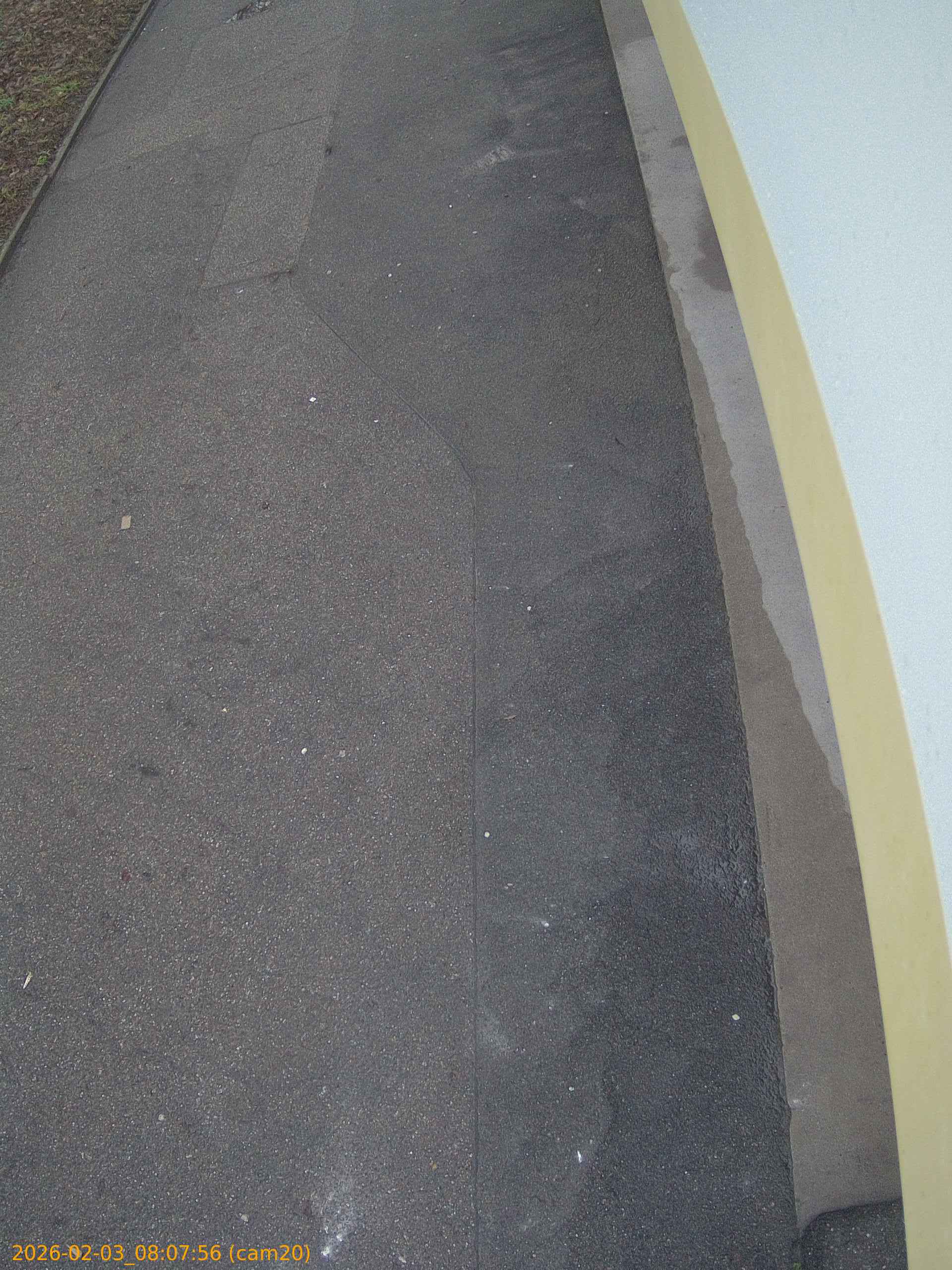 thumbnail_20260203080756