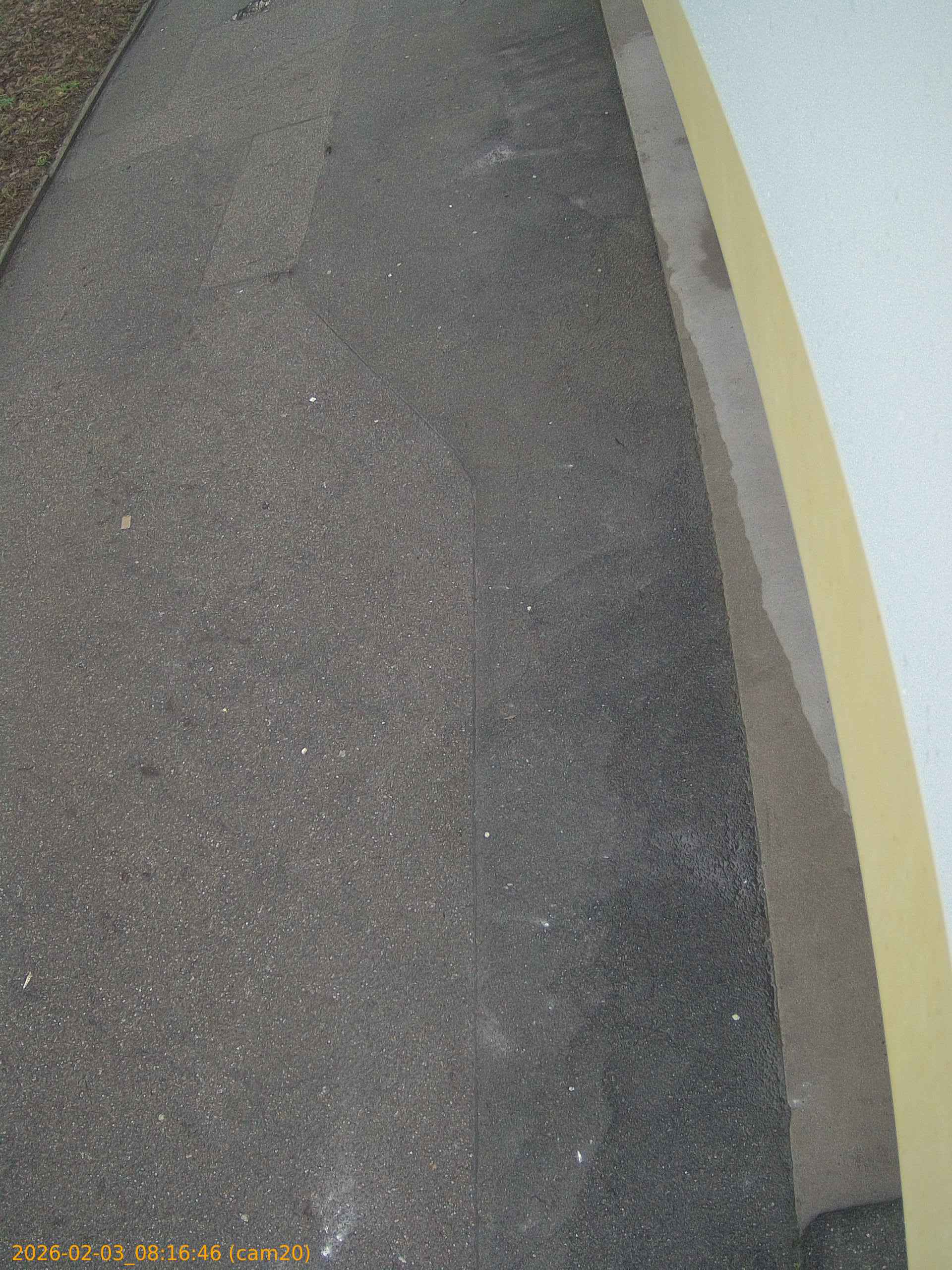 thumbnail_20260203081646