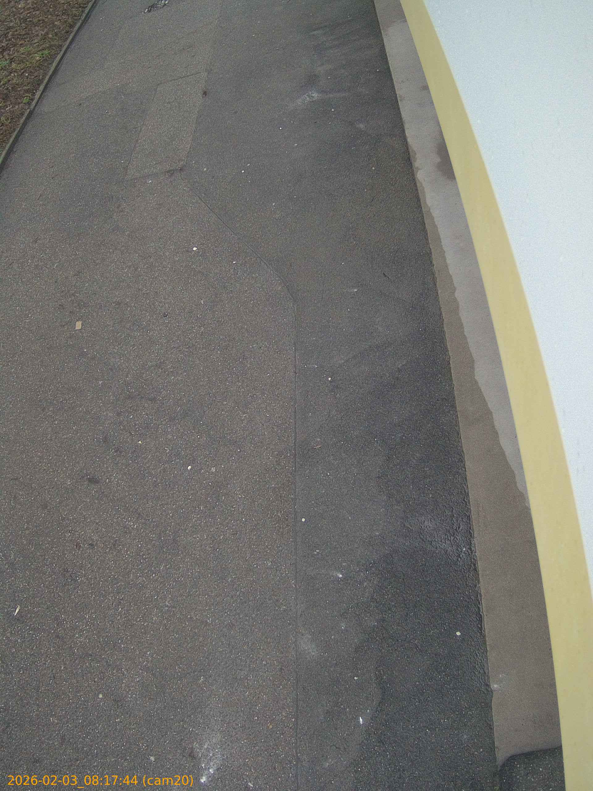 thumbnail_20260203081744