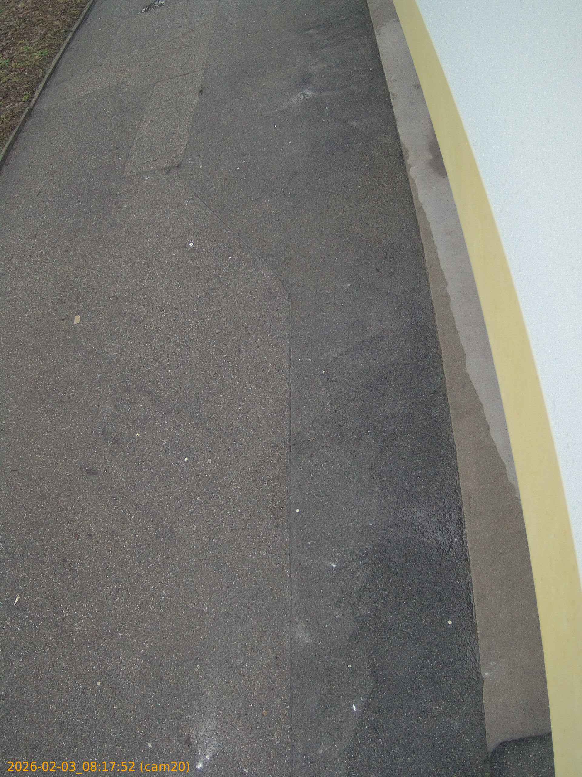 thumbnail_20260203081752