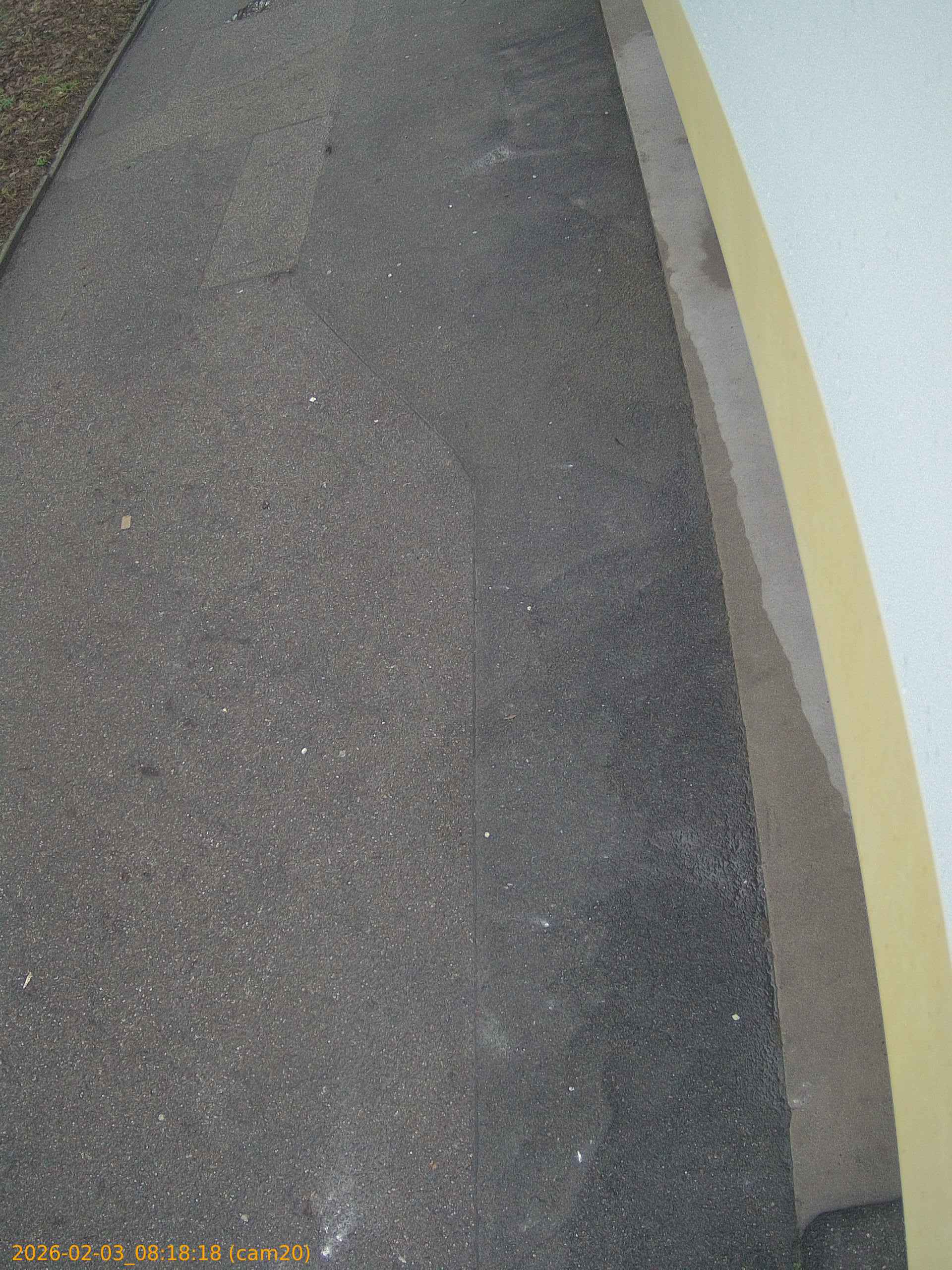 thumbnail_20260203081818