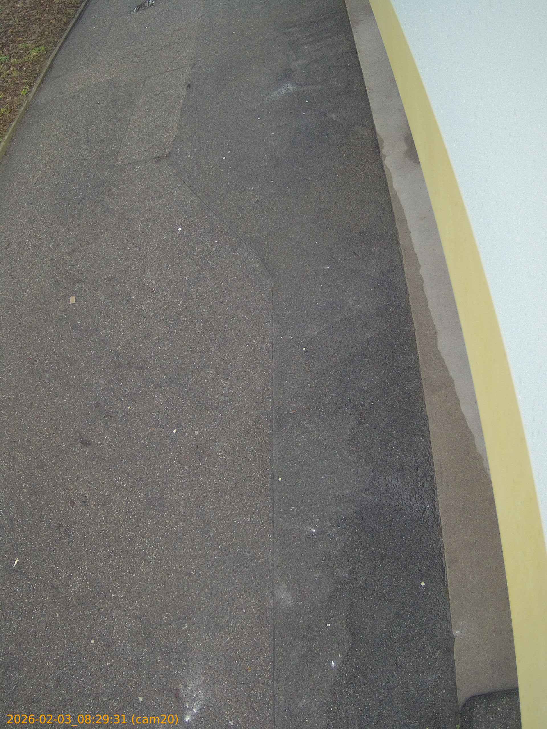 thumbnail_20260203082931