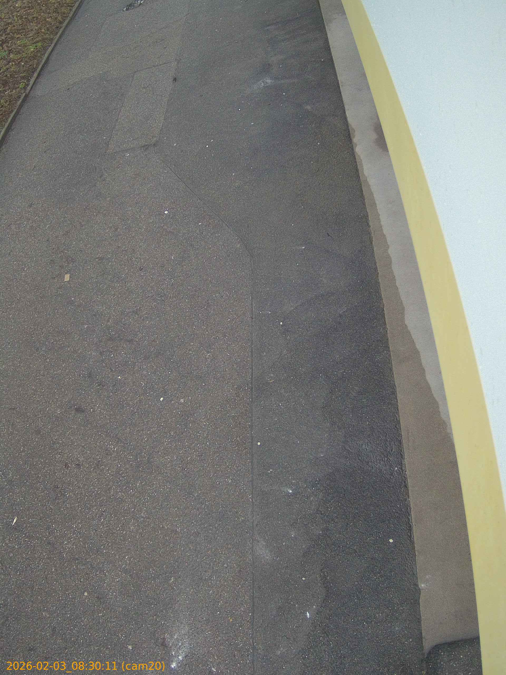 thumbnail_20260203083011